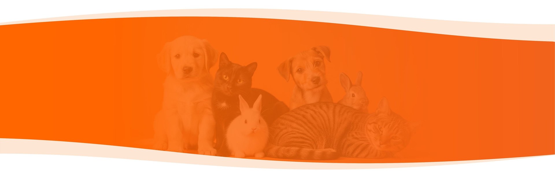 Porteira Aberta Pet Shop em Umuarama - PR