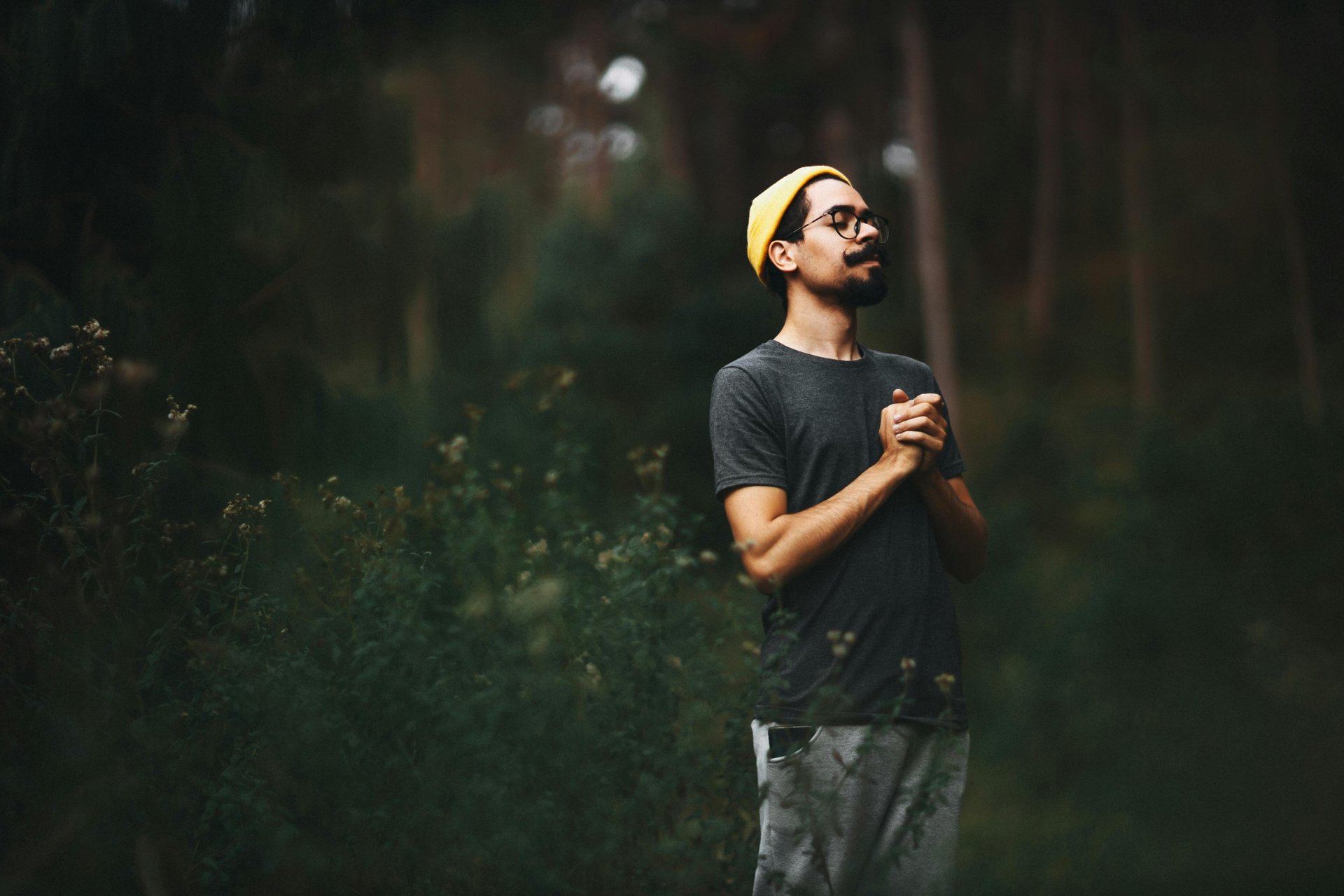 a view of a forest with clouds in the sky