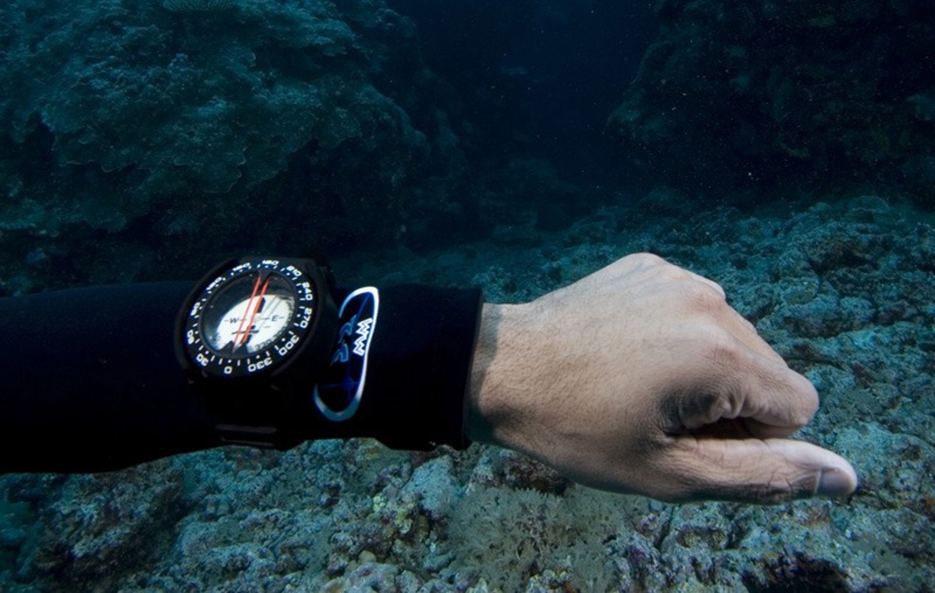 round gold-colored compass