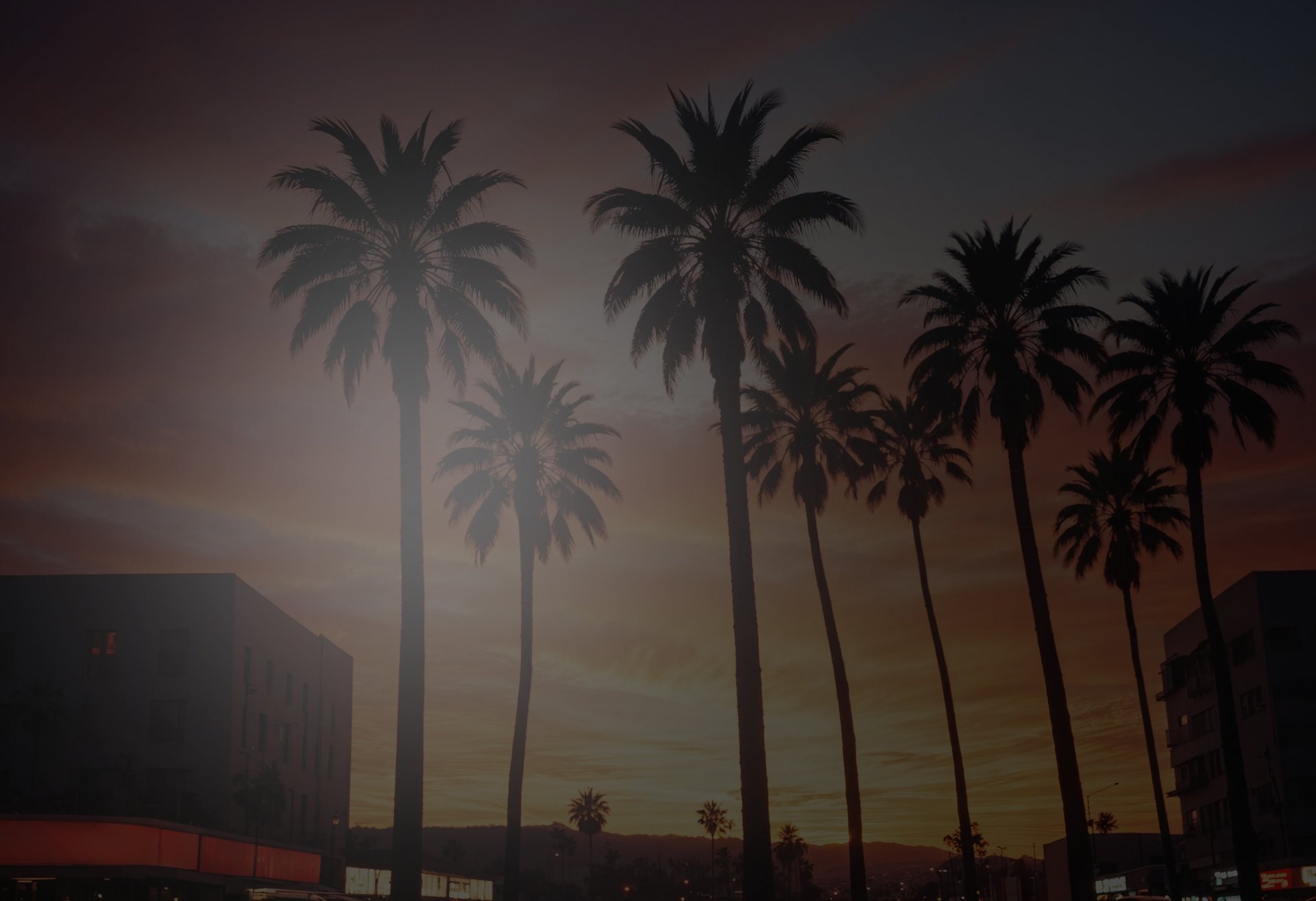silhouette of four coconut trees at daytime