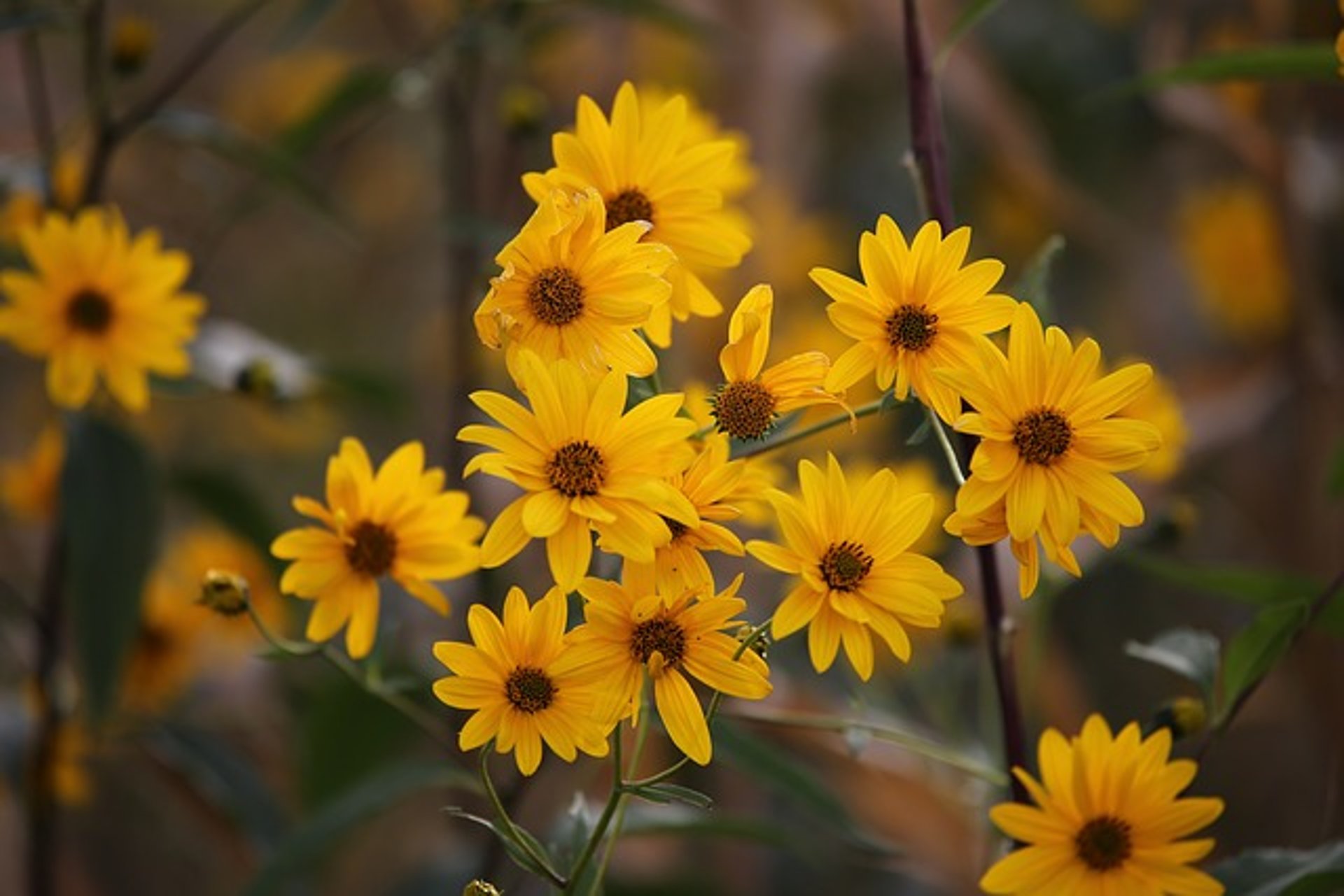 gray computer monitor