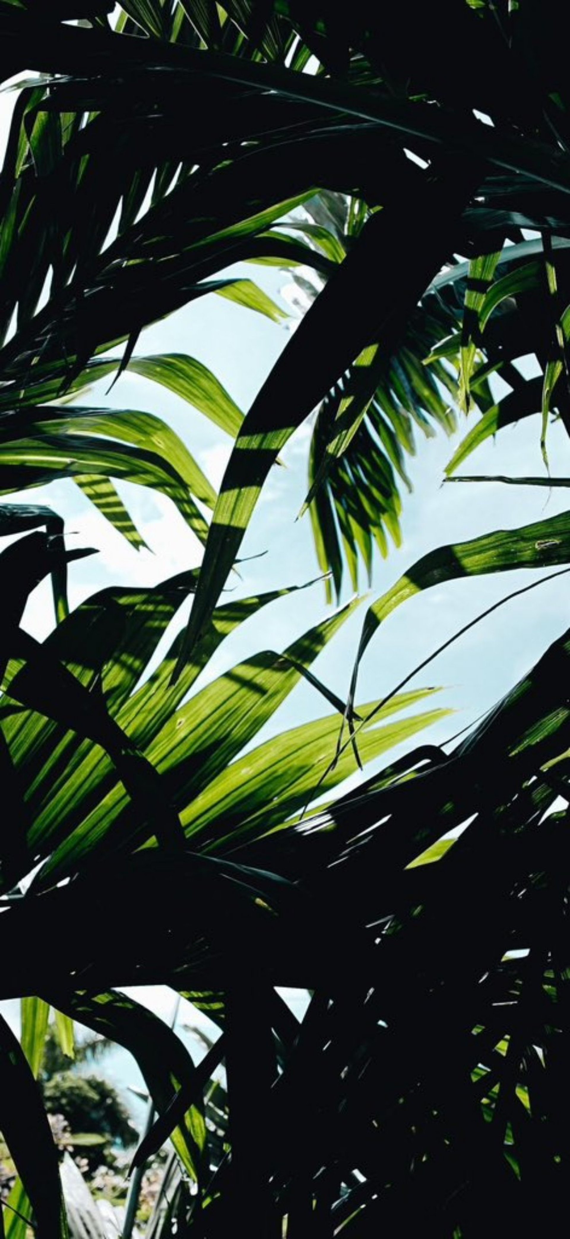 woman wearing yellow long-sleeved dress under white clouds and blue sky during daytime