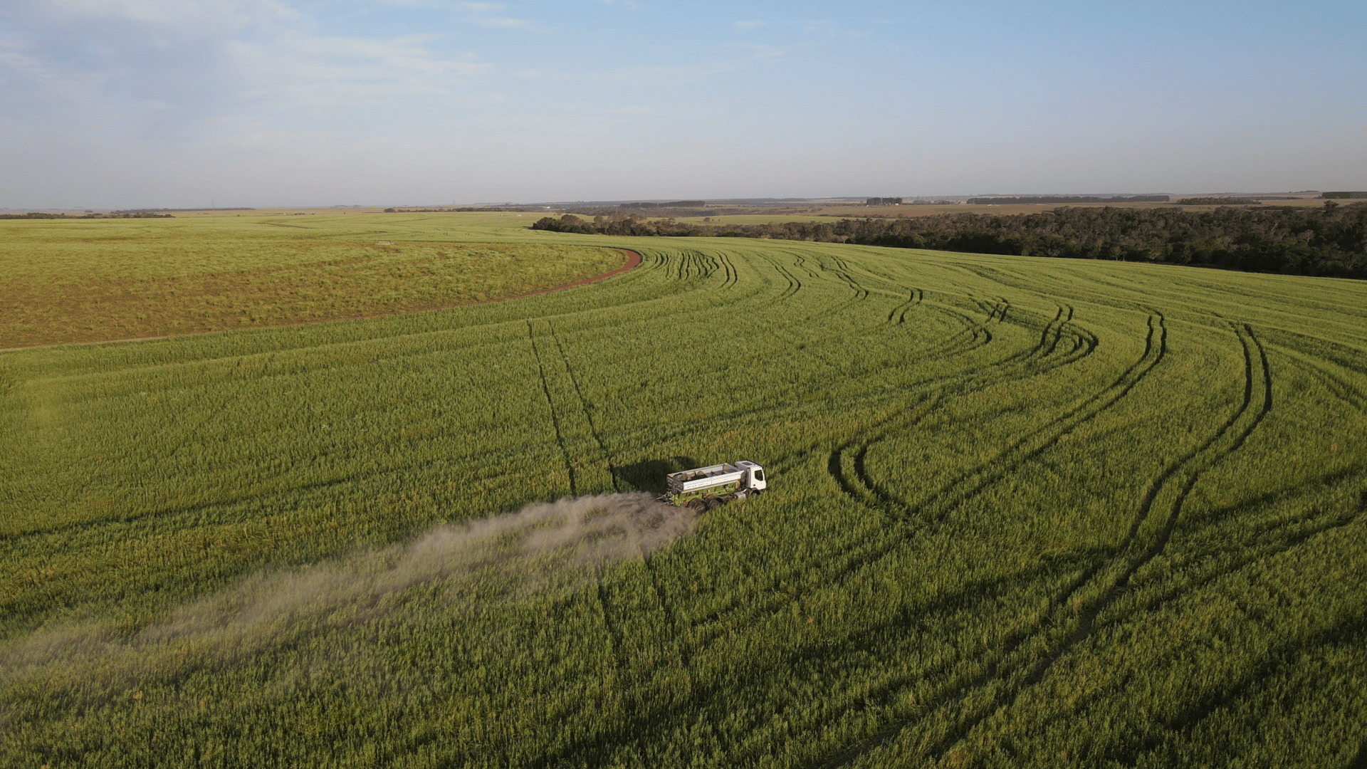 people sitting on grass field during daytime