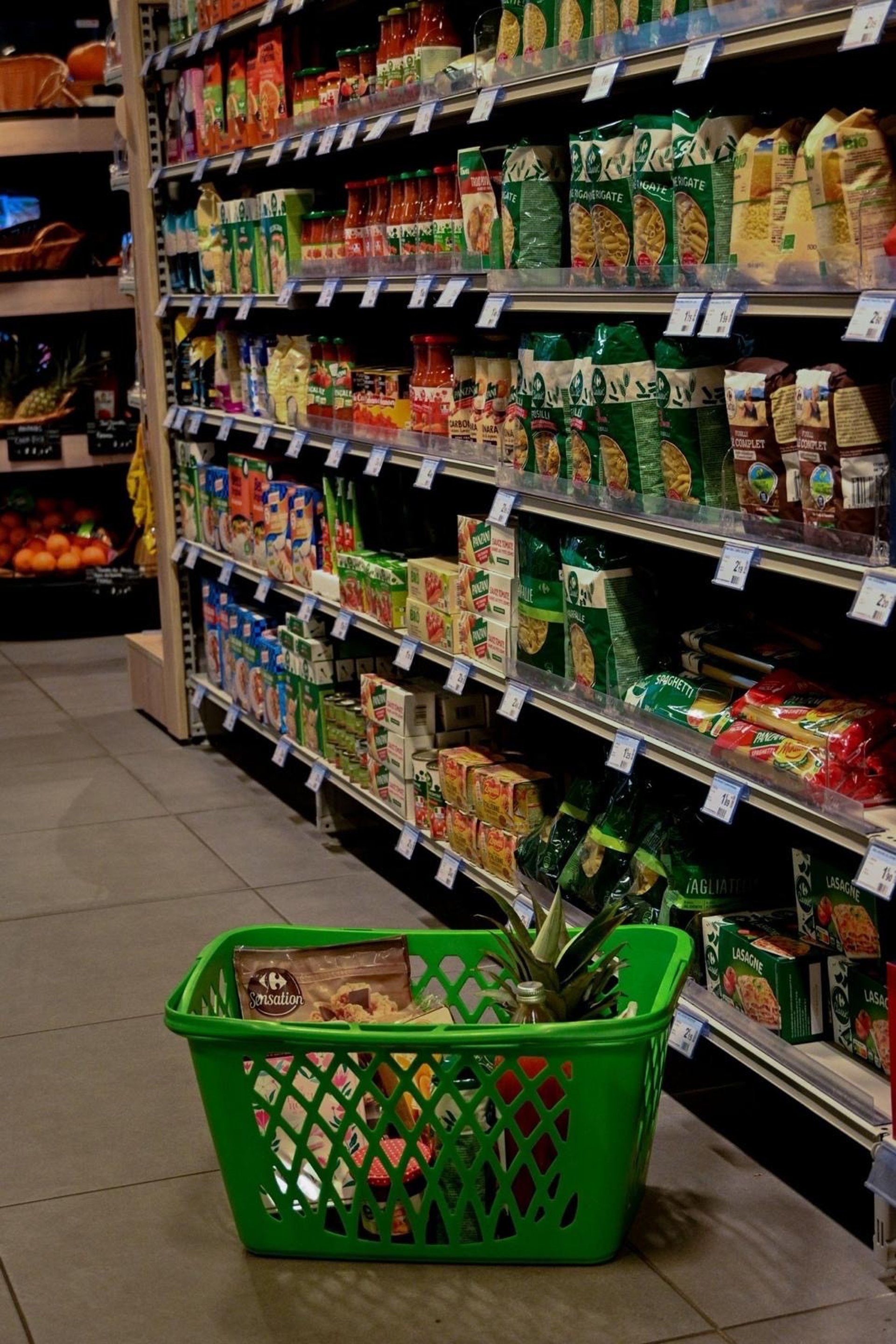 green leaf plant with dew