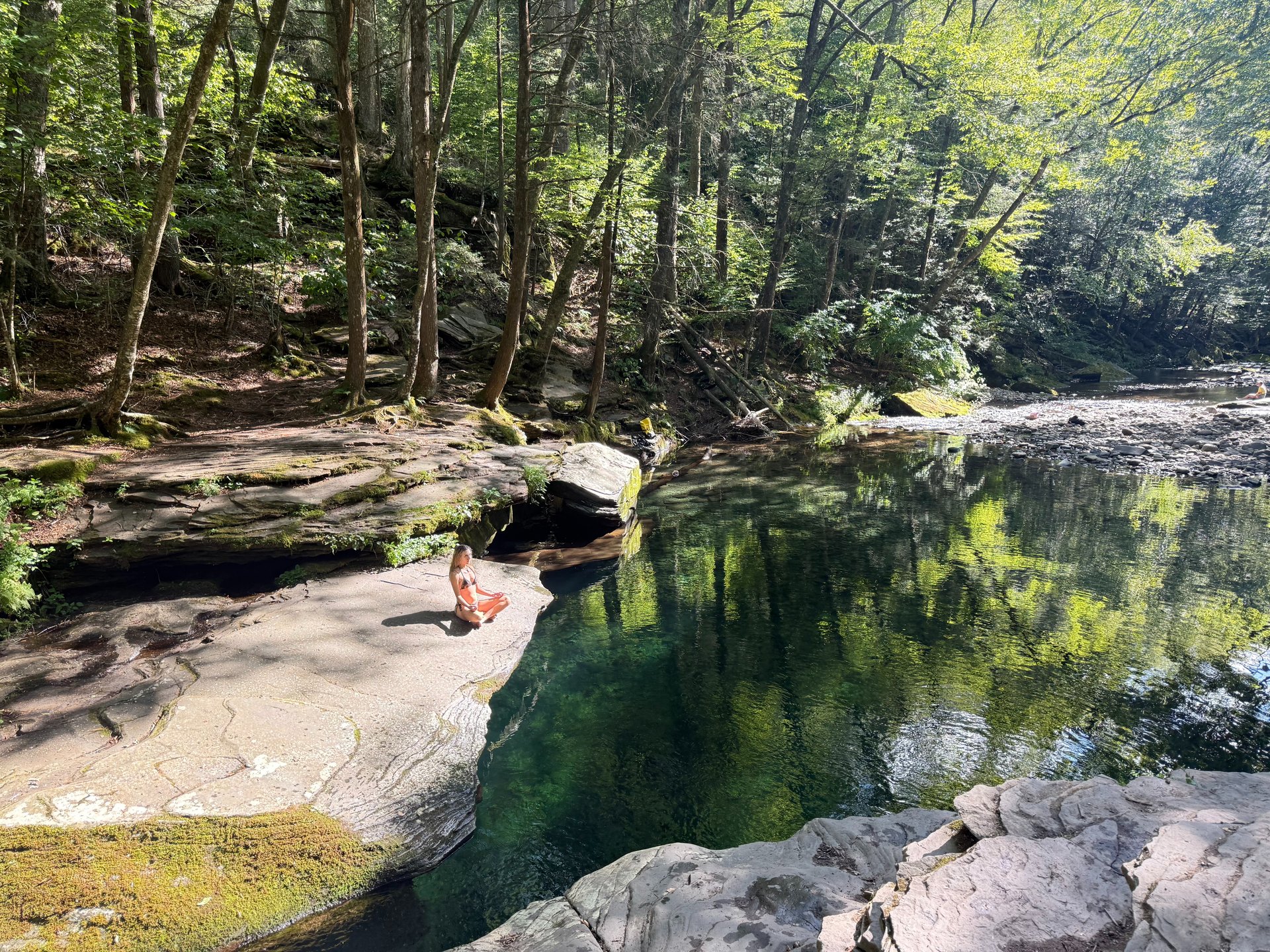 black blue and yellow textile