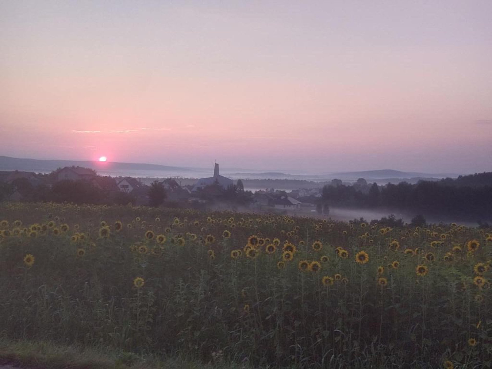 an abstract photo of a curved building with a blue sky in the background