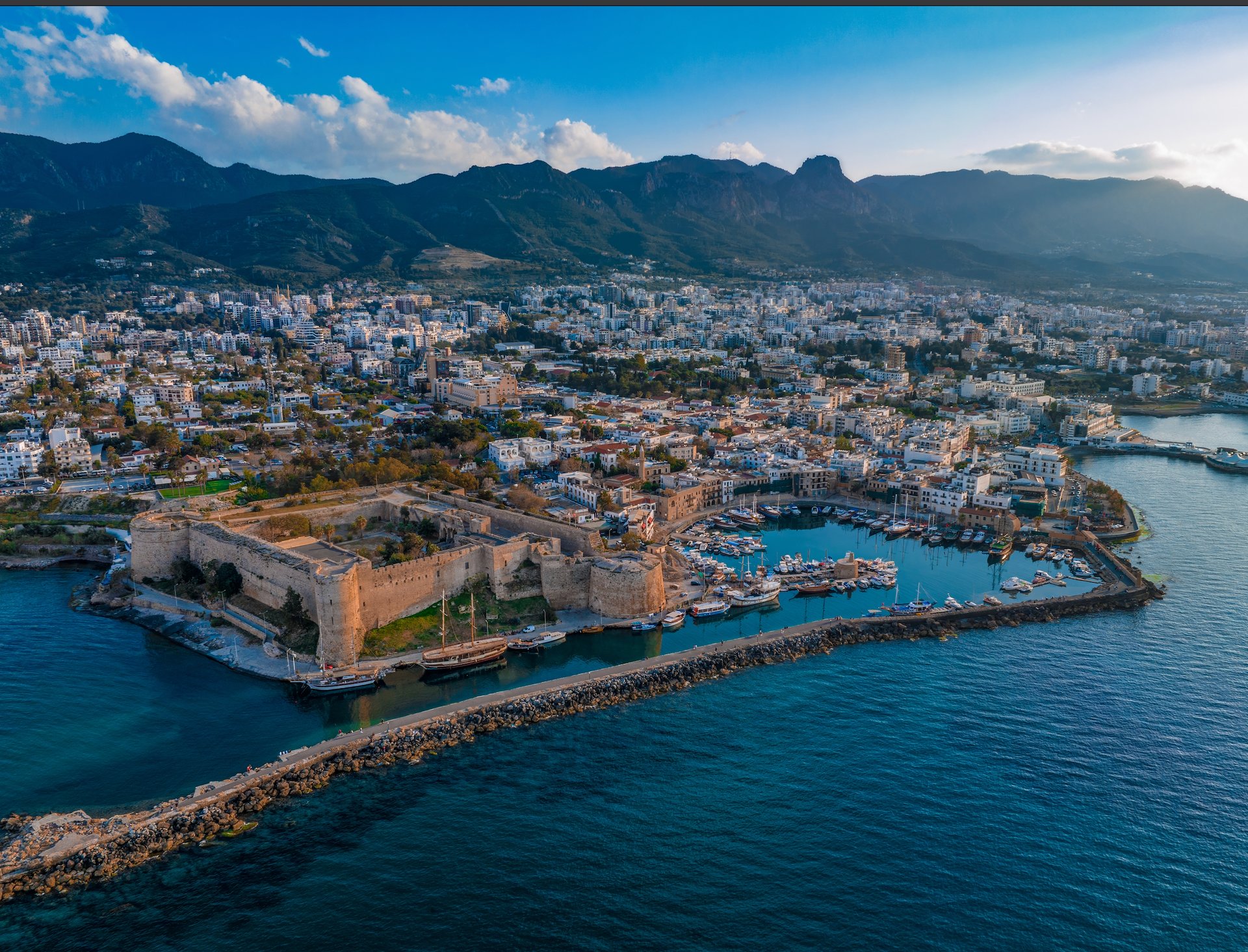 black and brown leather padded tub sofa