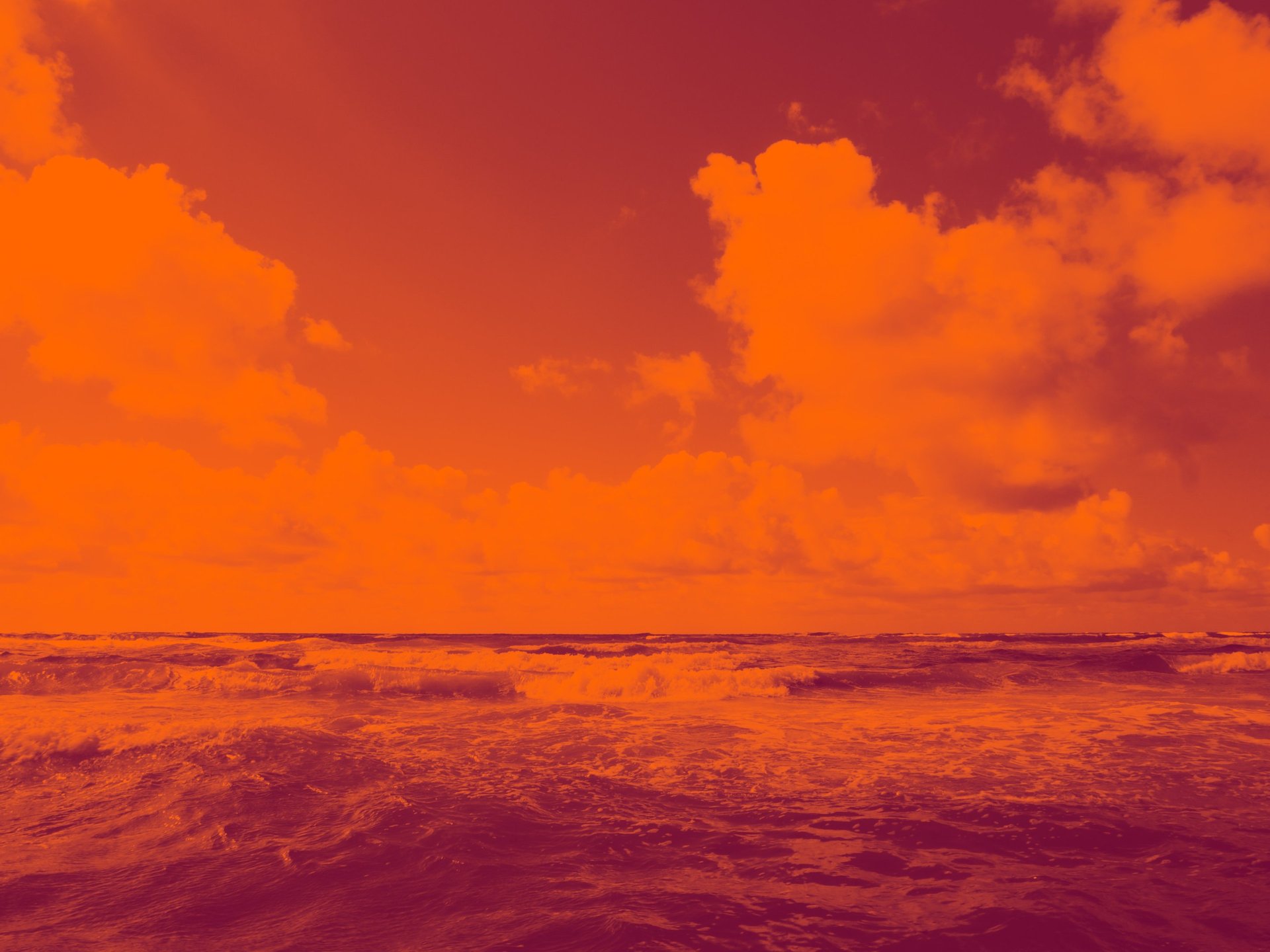 gray computer monitor