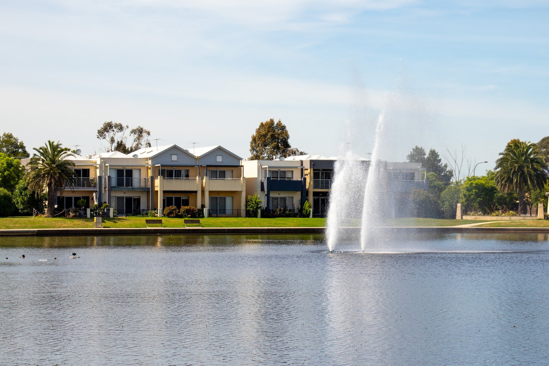 gray computer monitor