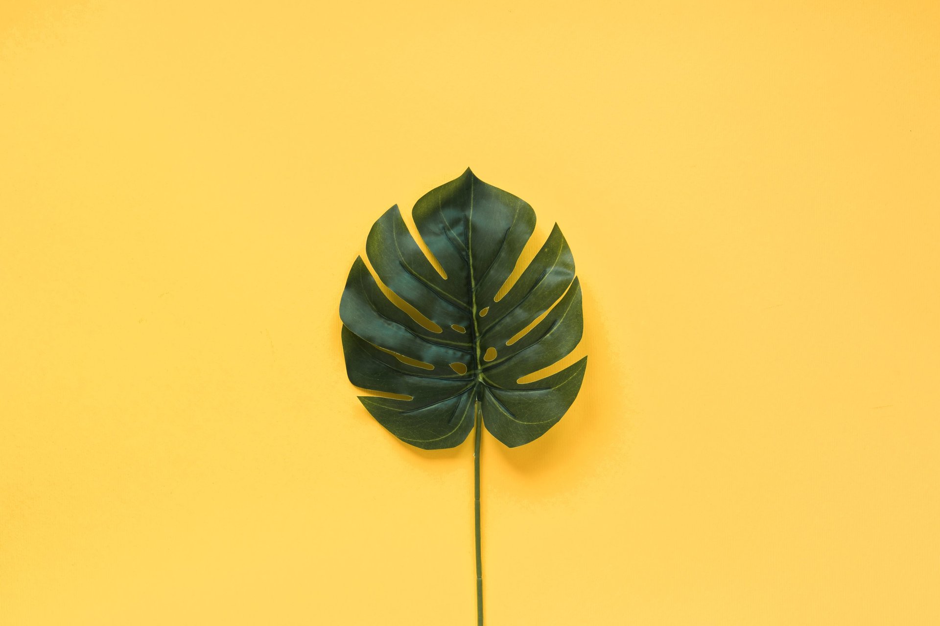 two gray pencils on yellow surface