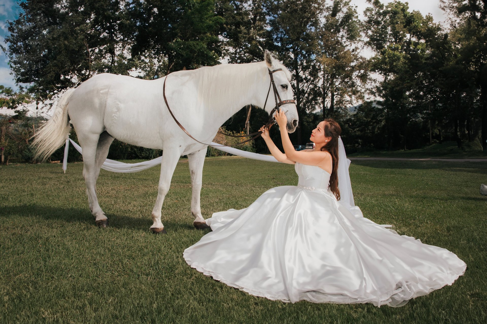 gray computer monitor