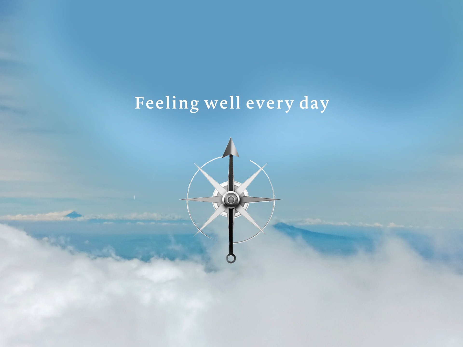 Unconventional health and wellness coaching - the-4-programs-of-plw-life-coaching