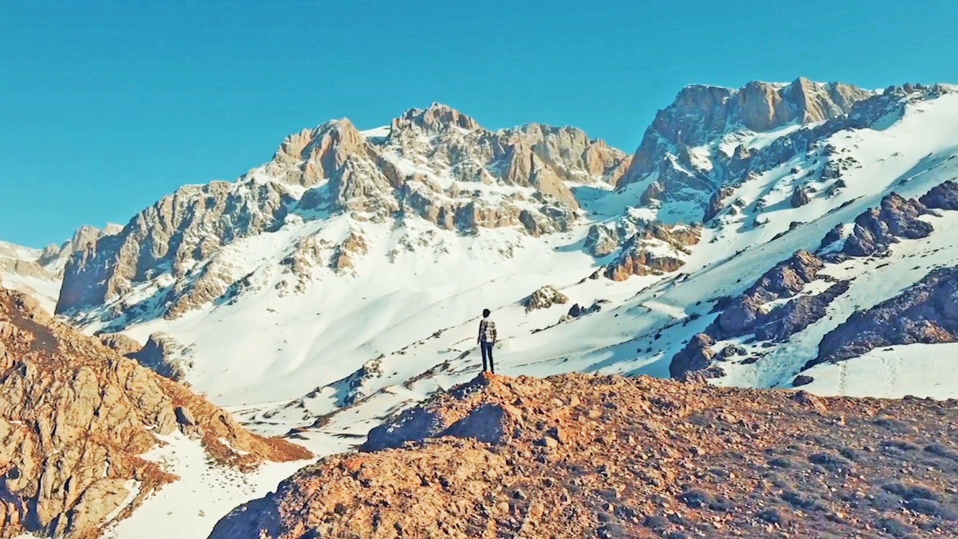 Unconventional health and wellness coaching - the-4-programs-of-plw-life-coaching 