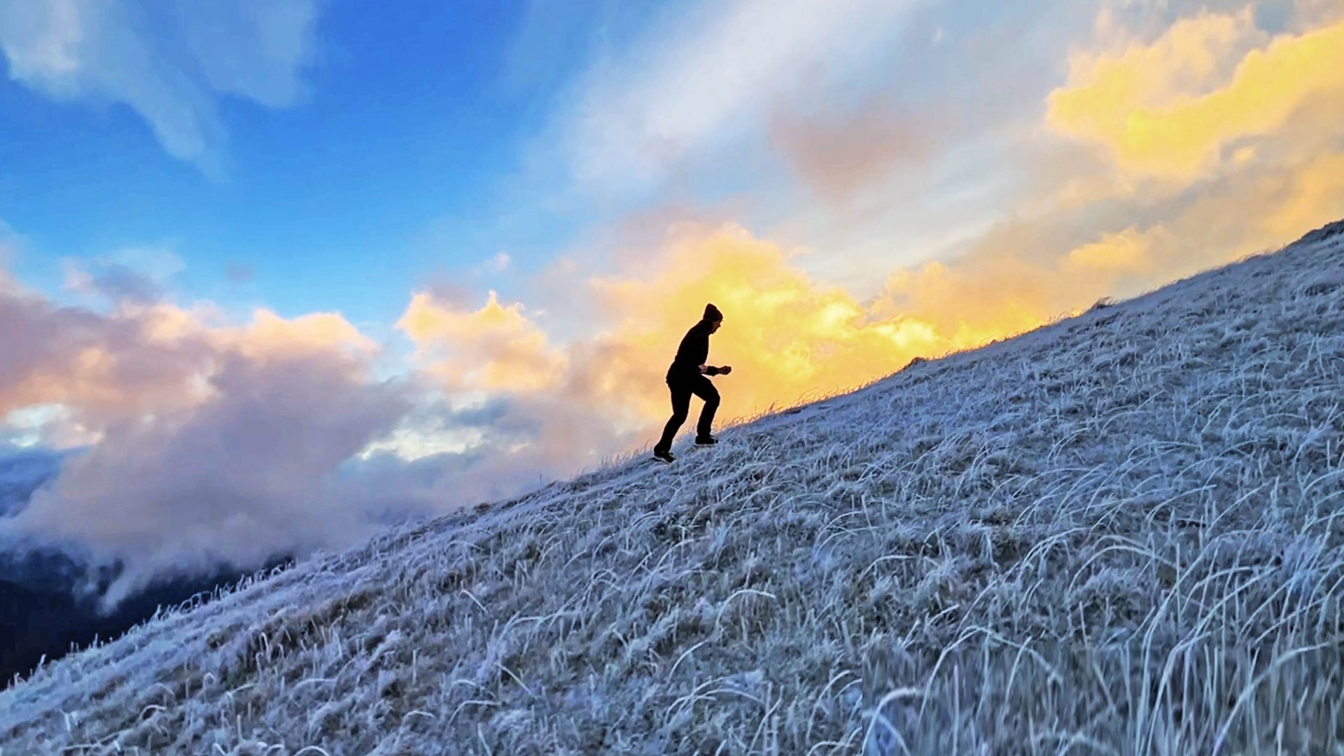 Do you want to feel better, be happier, and healthier?