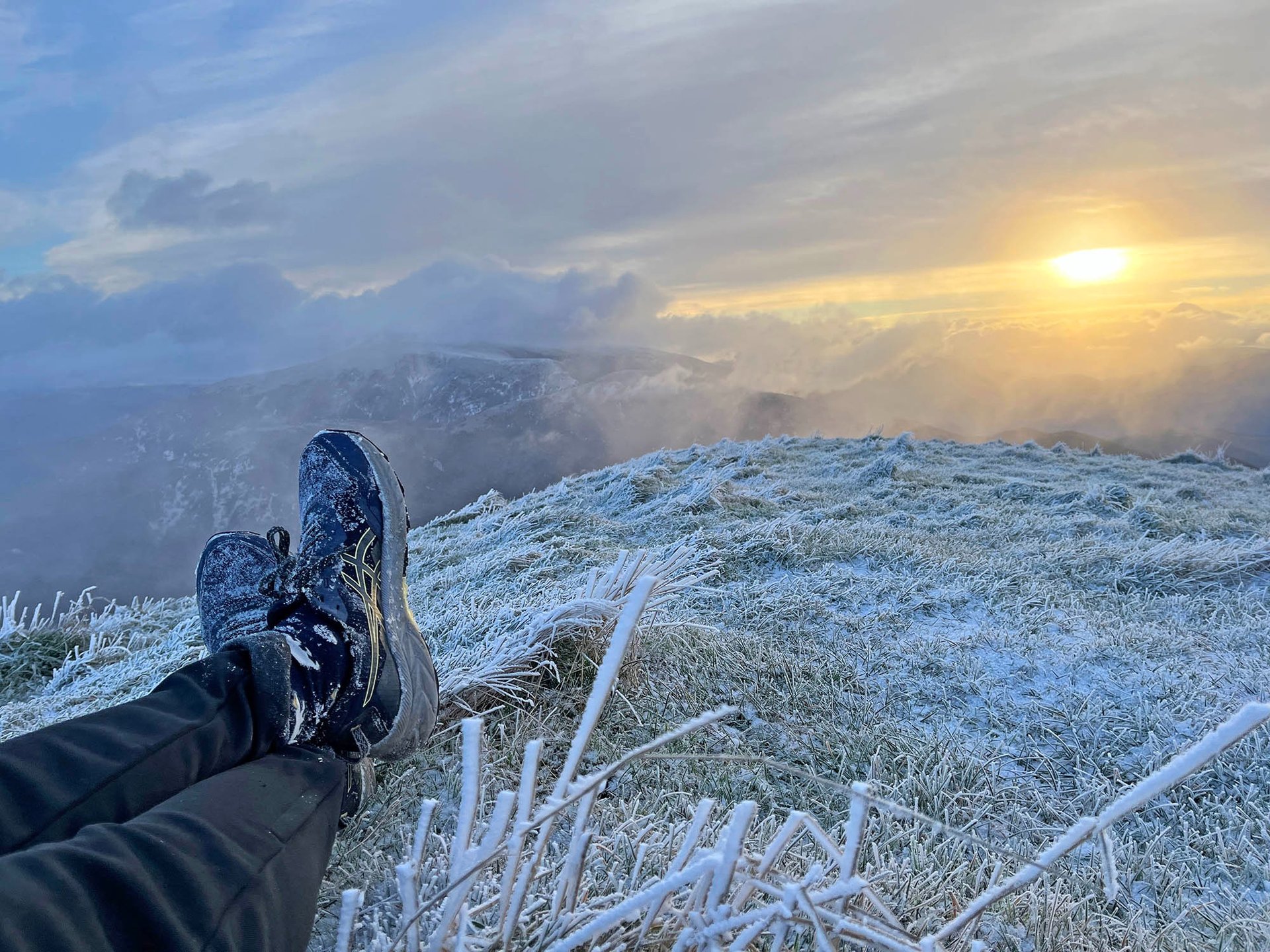 black blue and yellow textile