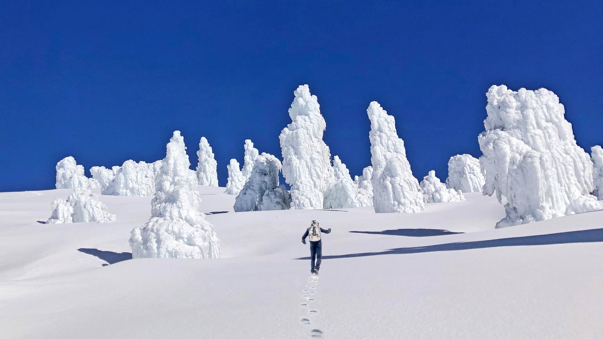 black blue and yellow textile