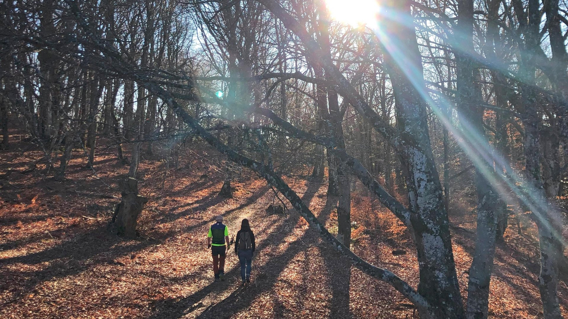 Looking at the Last Chance Mountains from the Eureka Dunes, Death Valley National Park, California