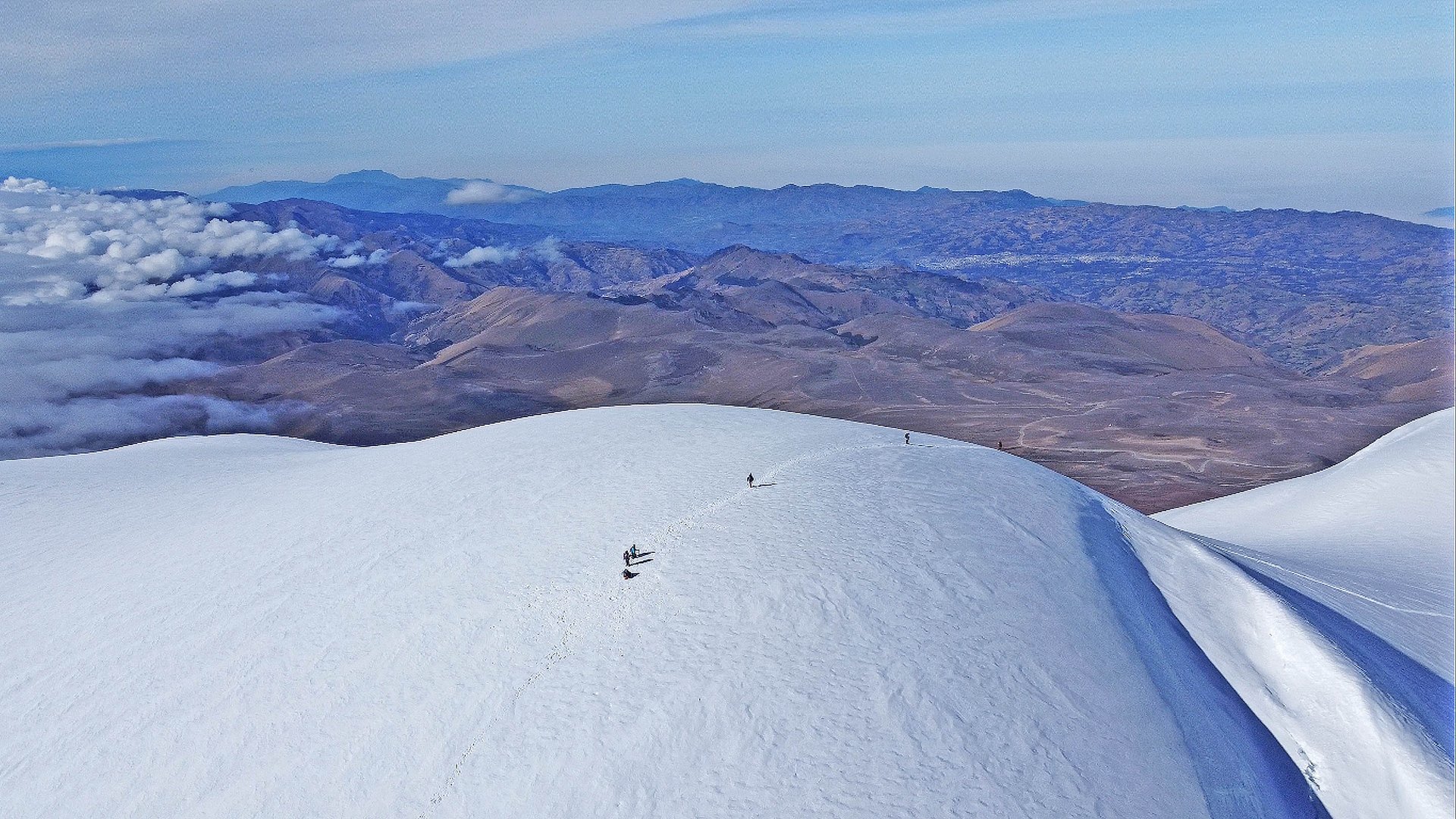 Unconventional health and wellness coaching - the-4-programs-of-plw-life-coaching 