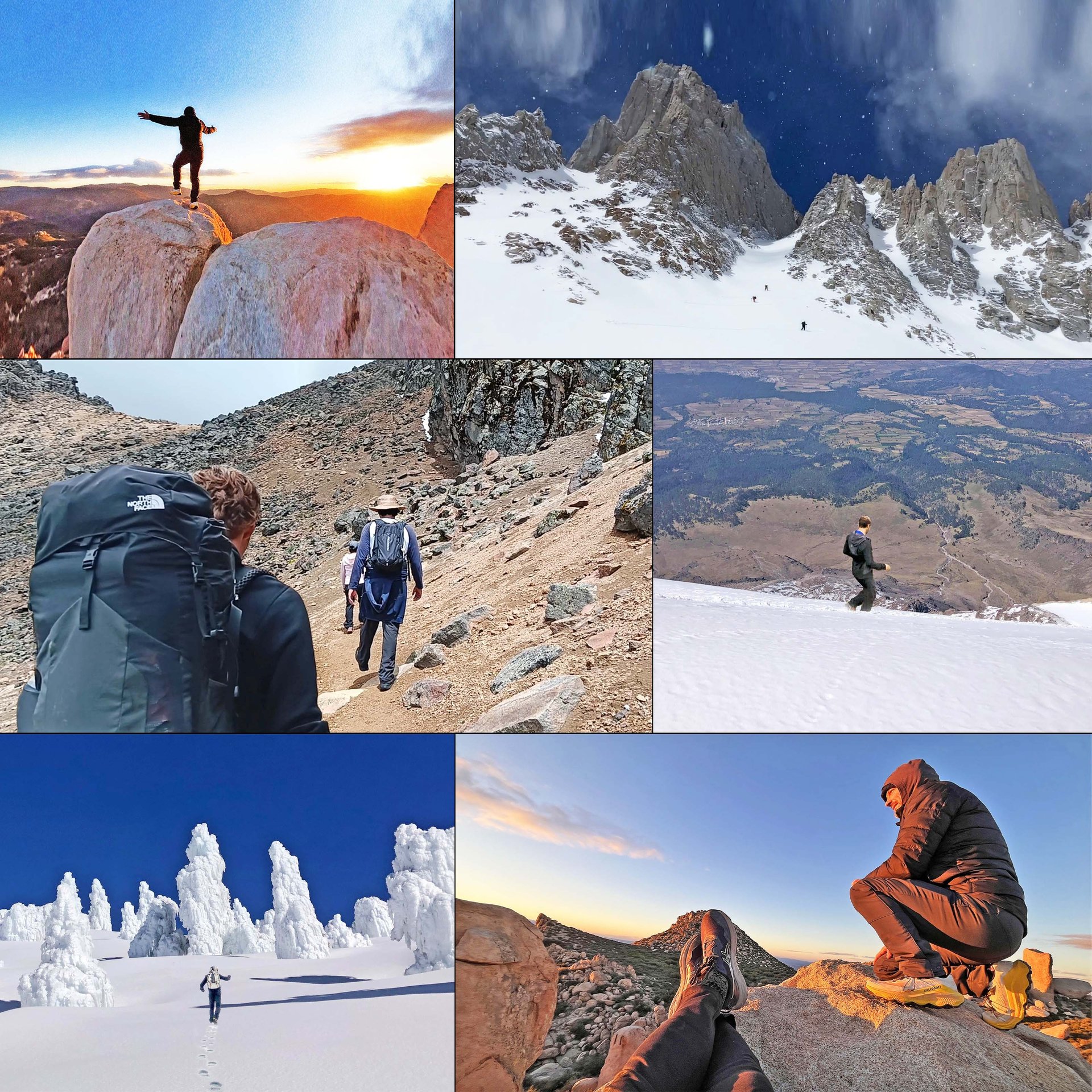 Unconventional health and wellness coaching - the-4-programs-of-plw-life-coaching 