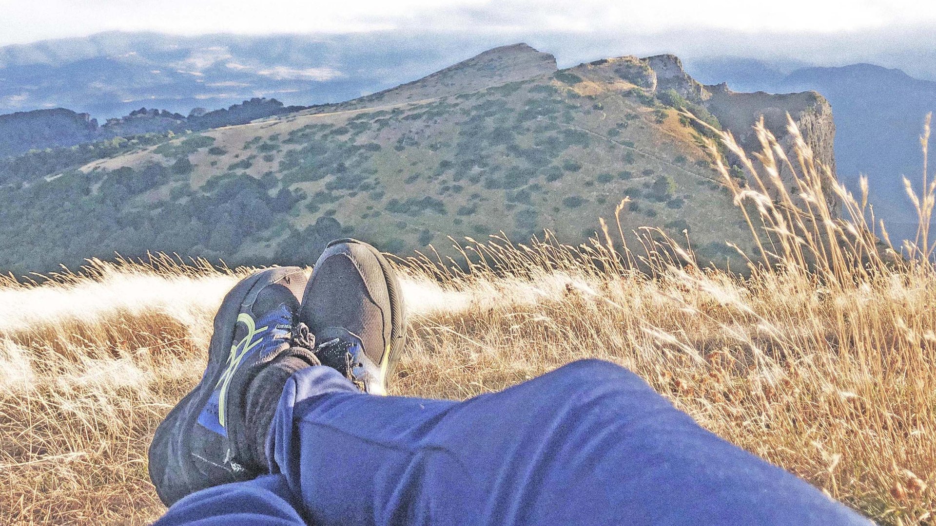 black blue and yellow textile