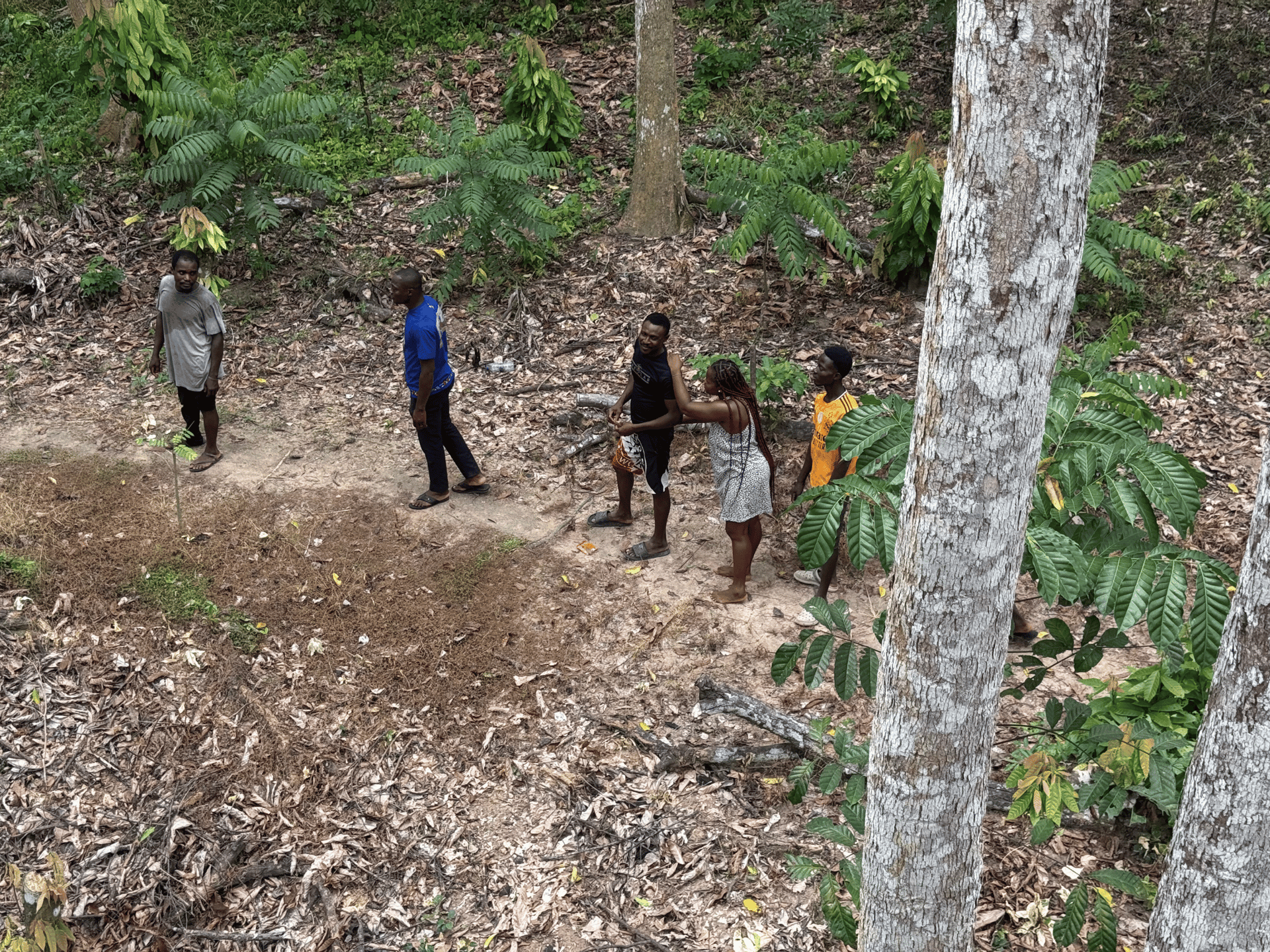 silhouette of SUV under orange sky