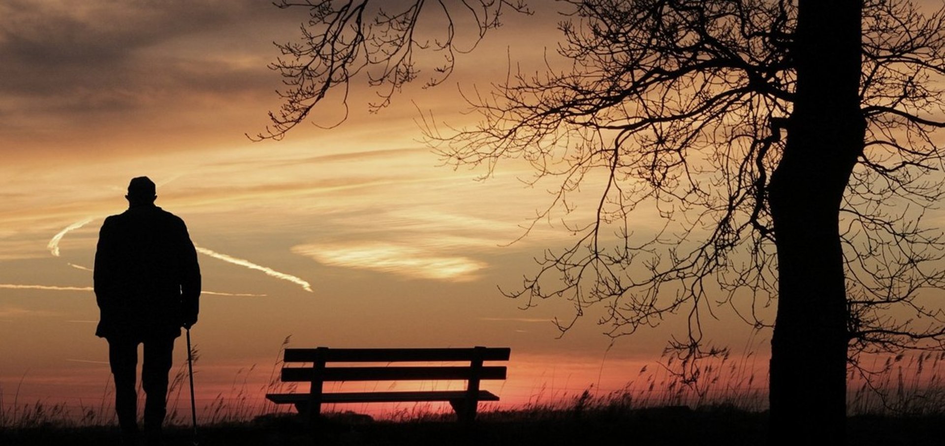 body of water and seashore
