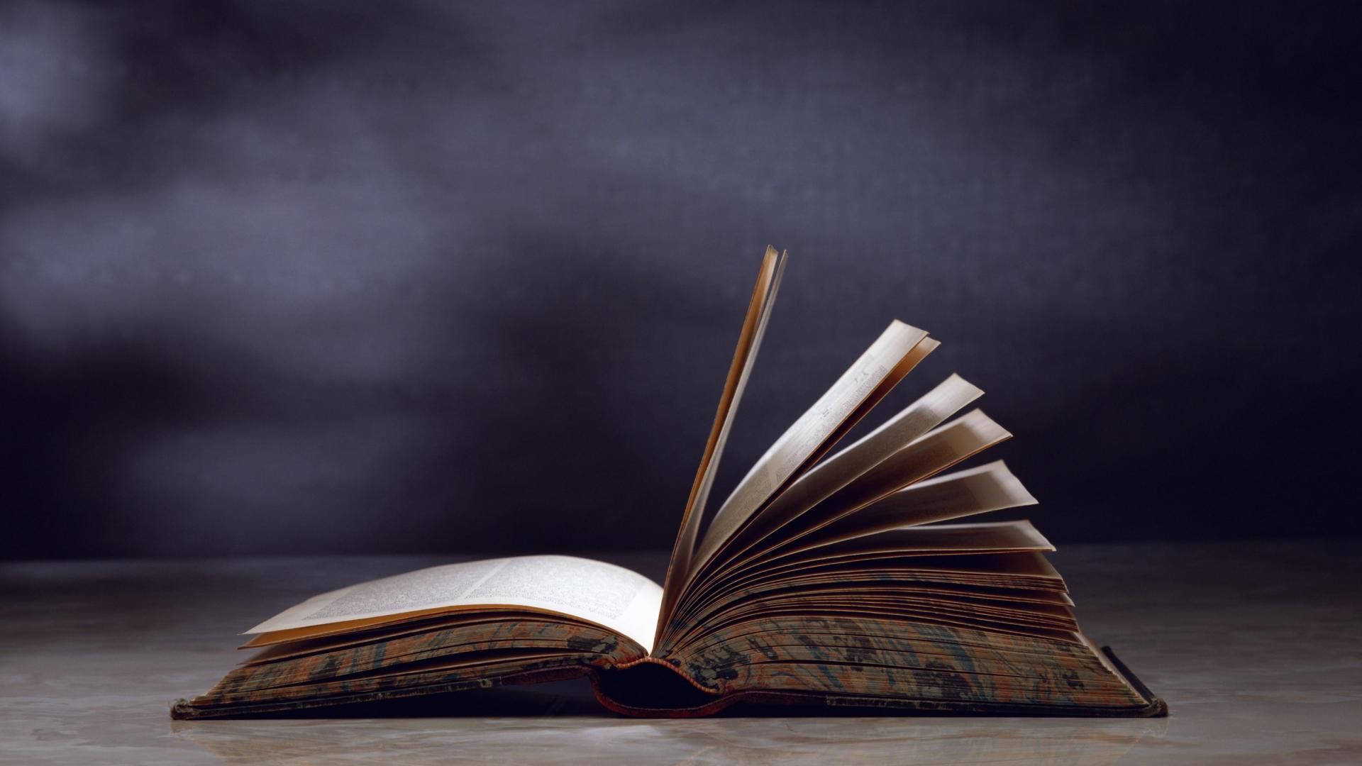 black and brown leather padded tub sofa