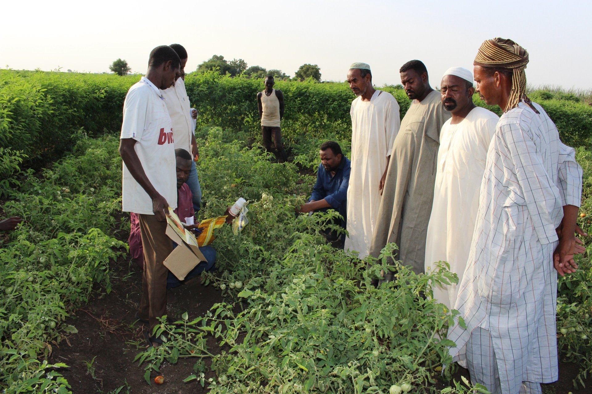 gray computer monitor
