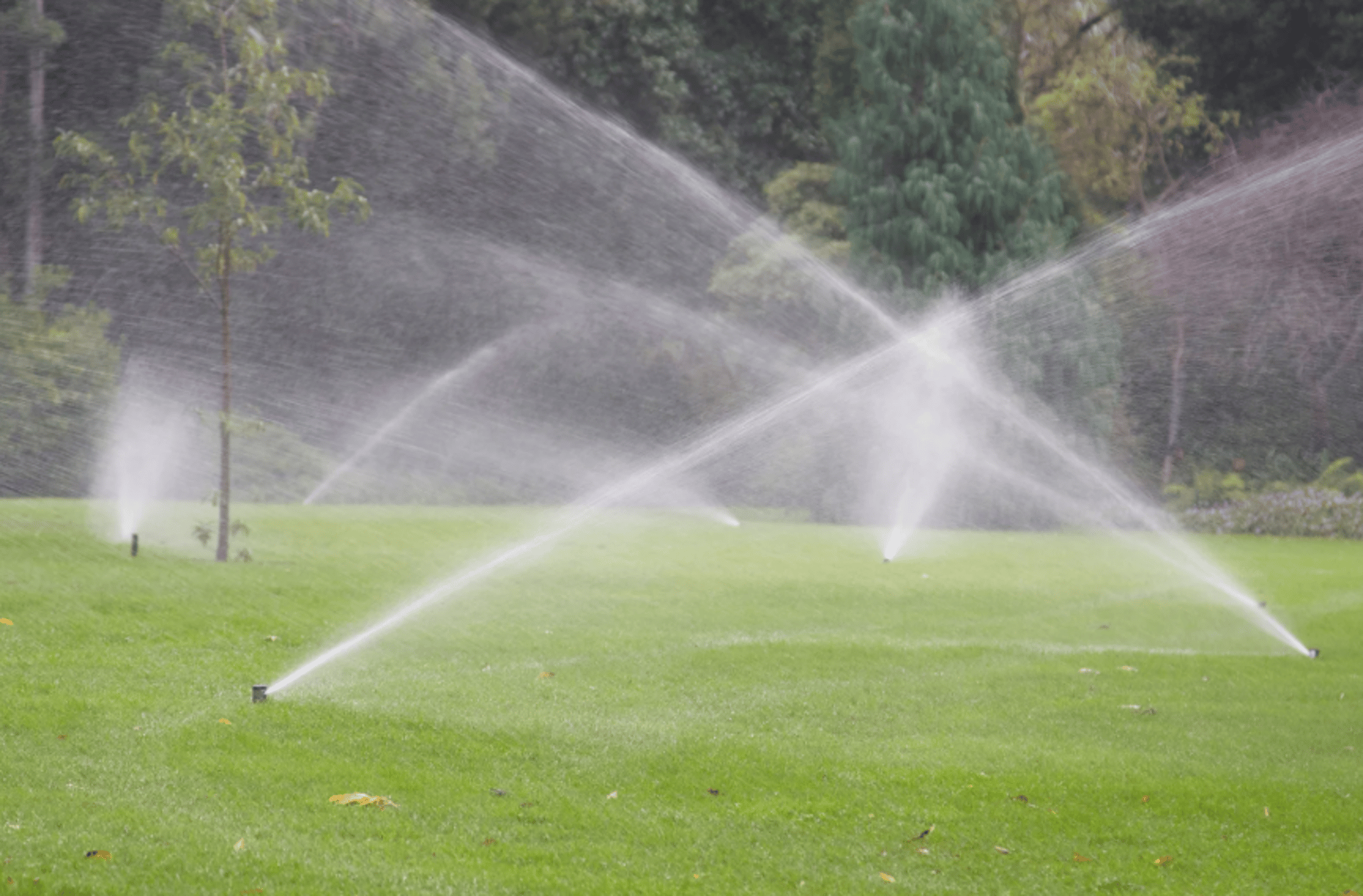 sprinkler repair ocala
