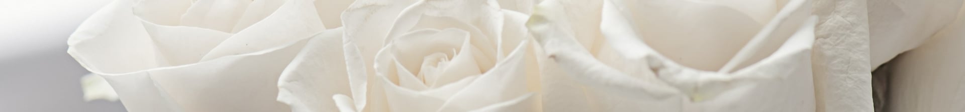 Entreprise de nettoyage après décès dans le Finistère