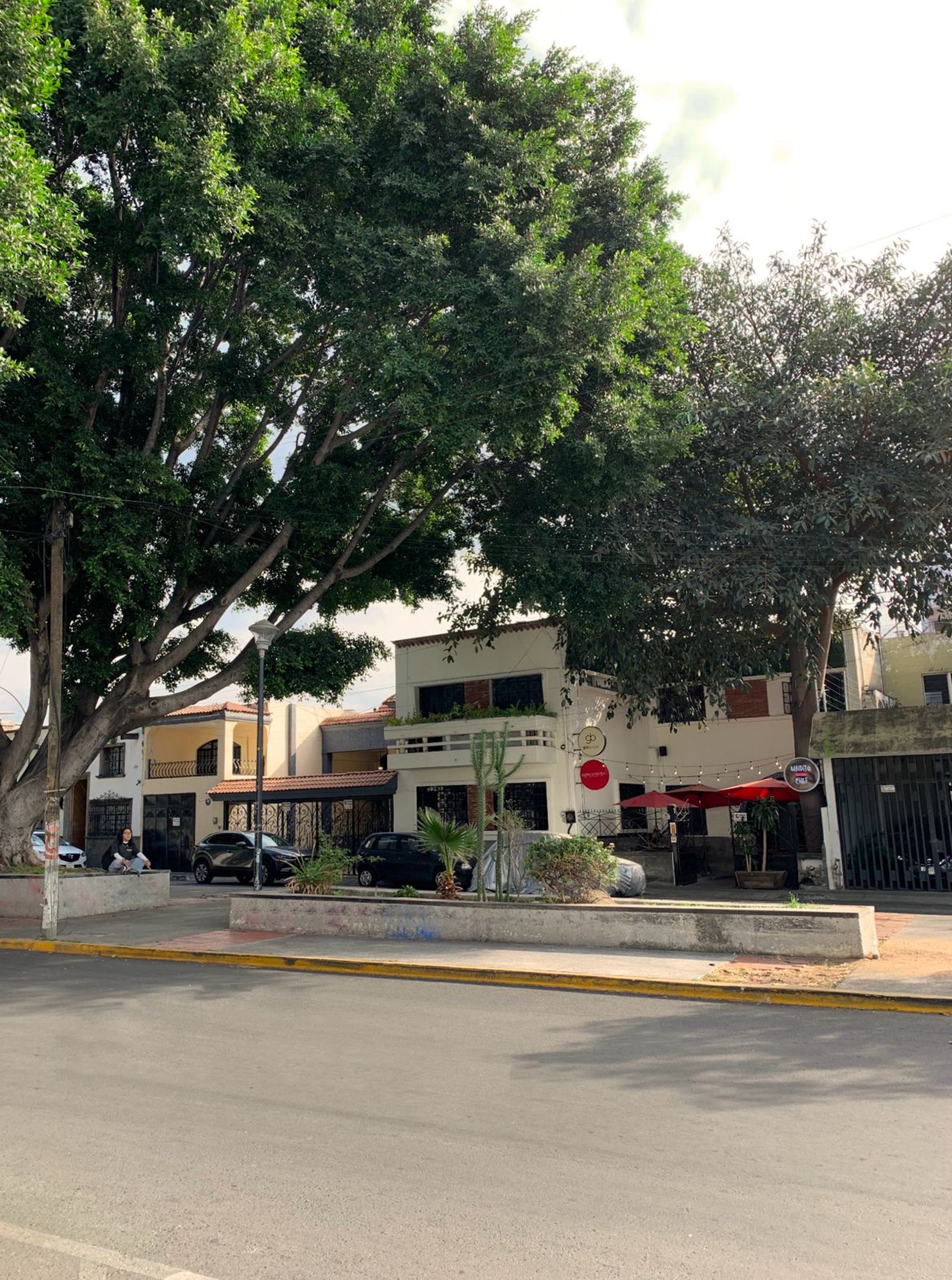 Street with a house and a tree