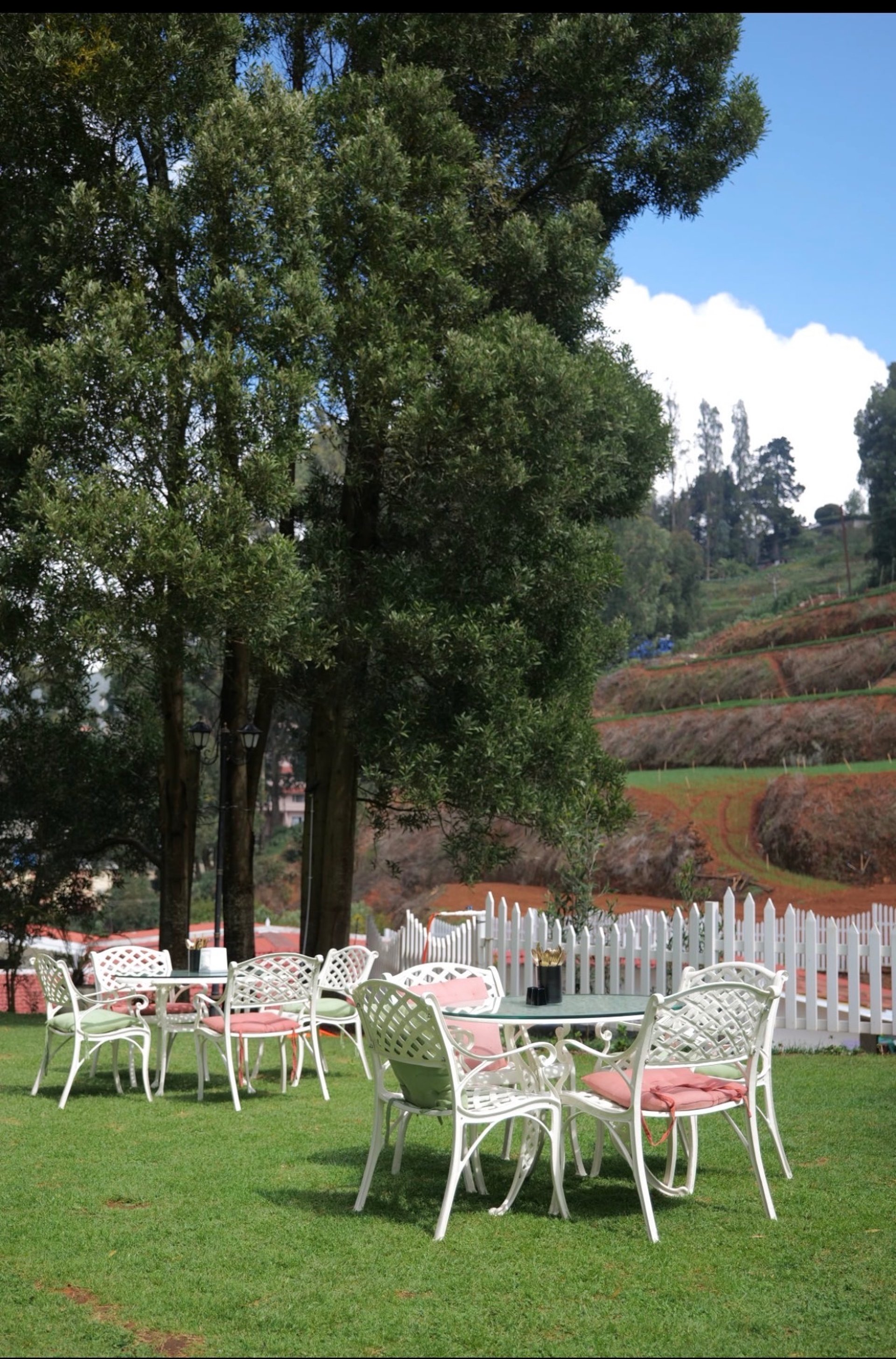 woman wearing yellow long-sleeved dress under white clouds and blue sky during daytime