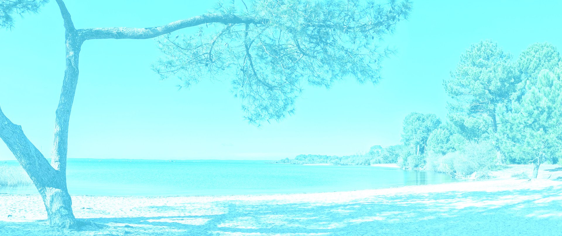 black and brown leather padded tub sofa