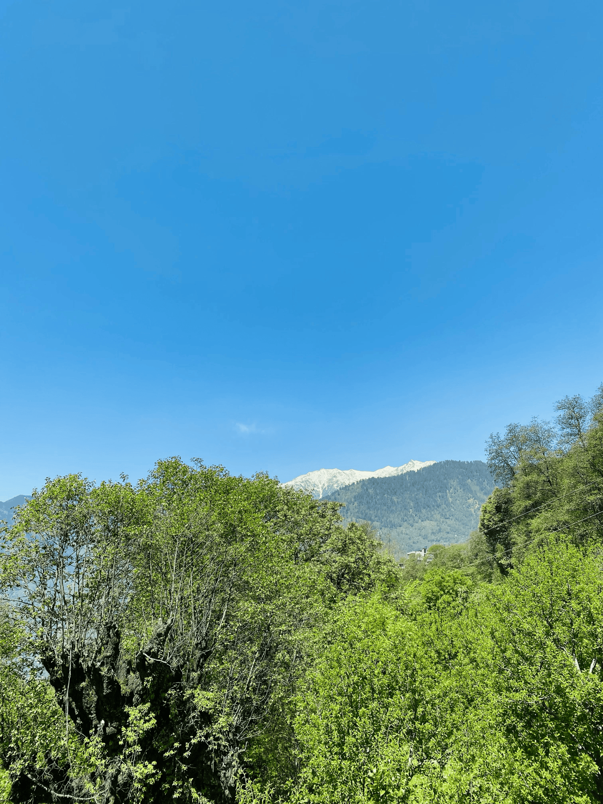 woman wearing yellow long-sleeved dress under white clouds and blue sky during daytime