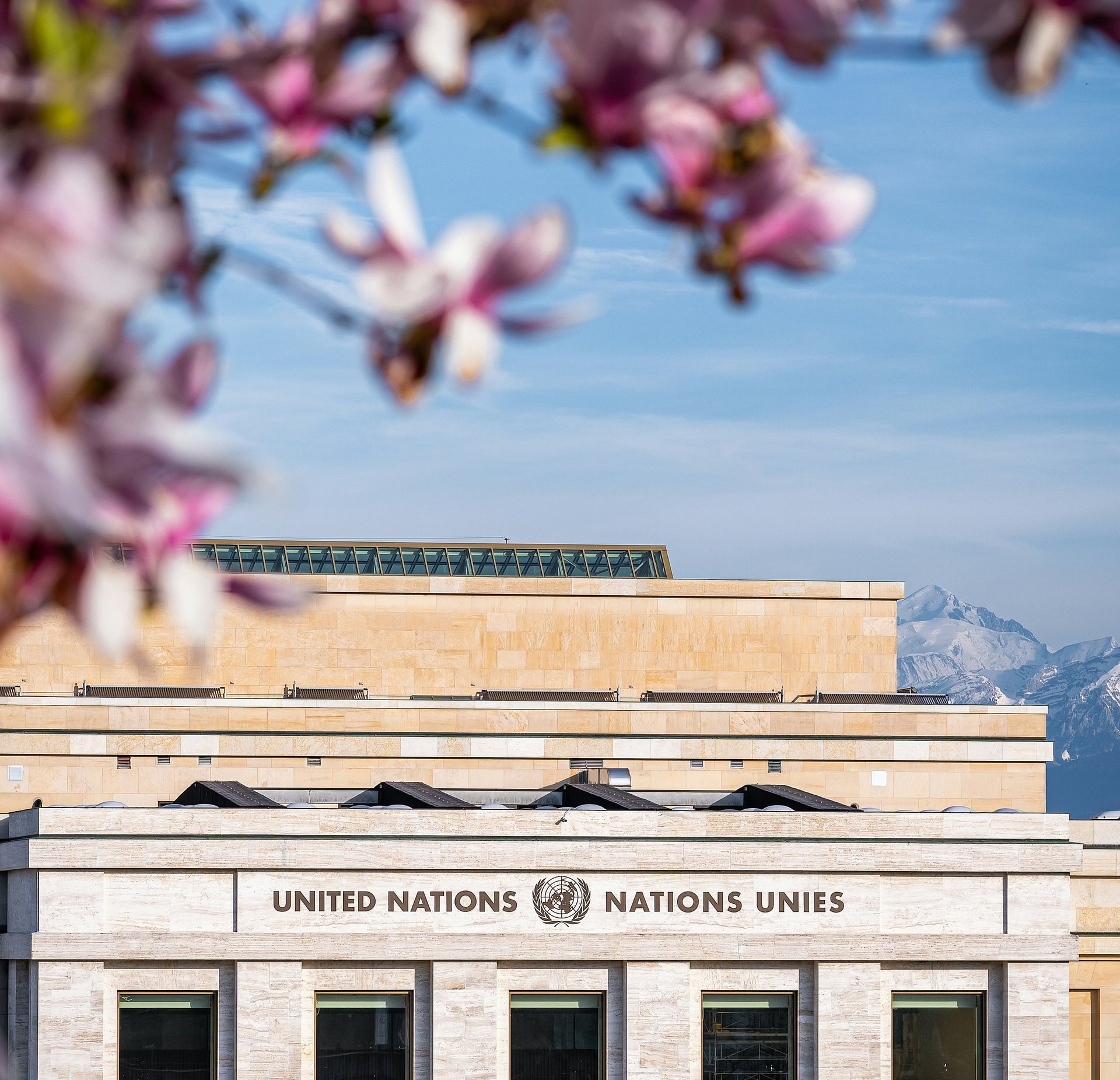 A building with a lot of flowers in front of it