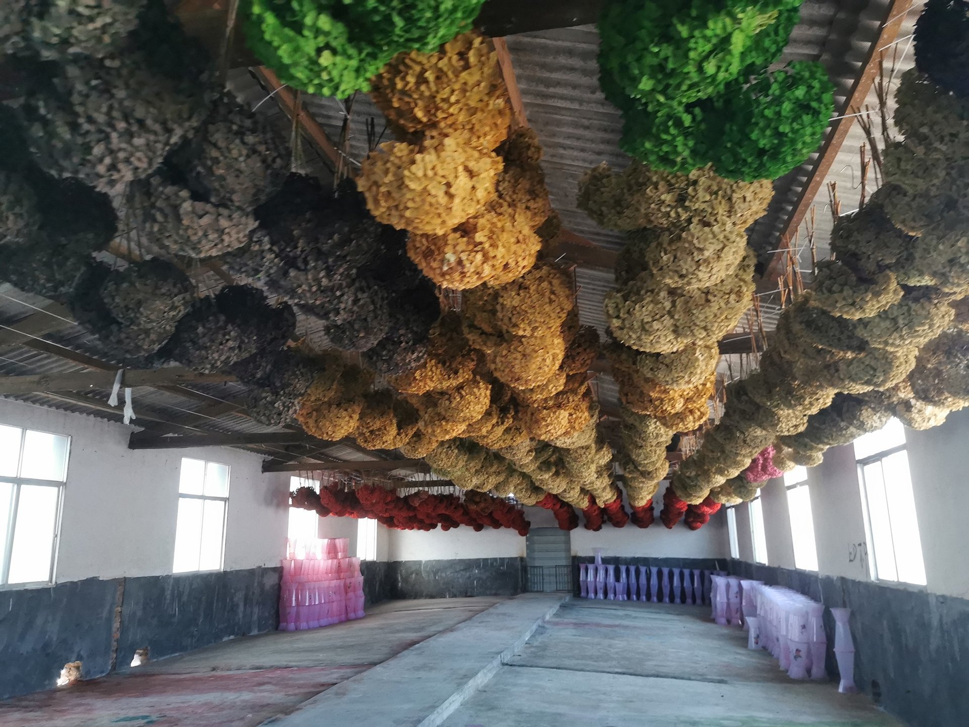 preserved flower factory