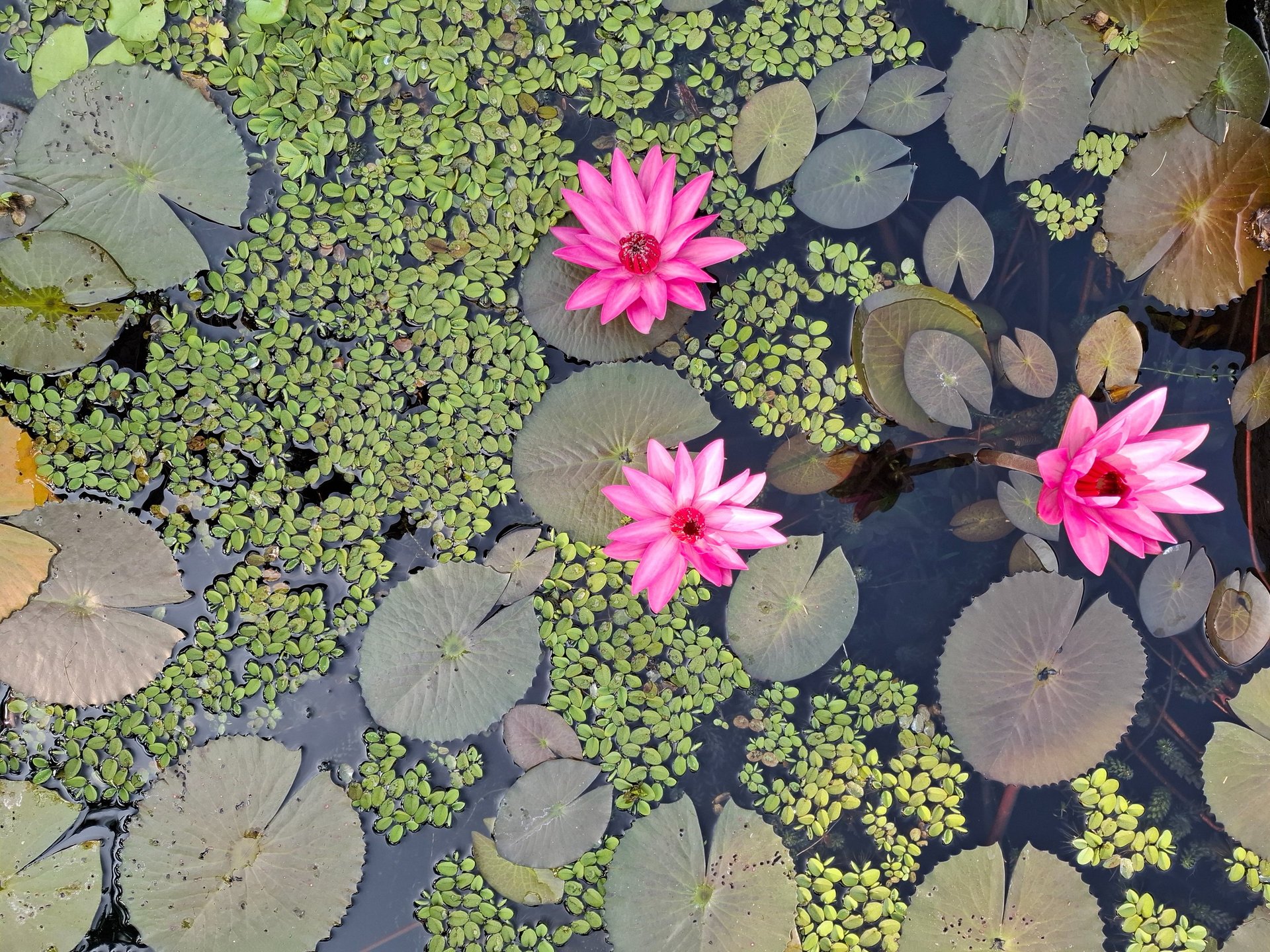 an abstract photo of a curved building with a blue sky in the background