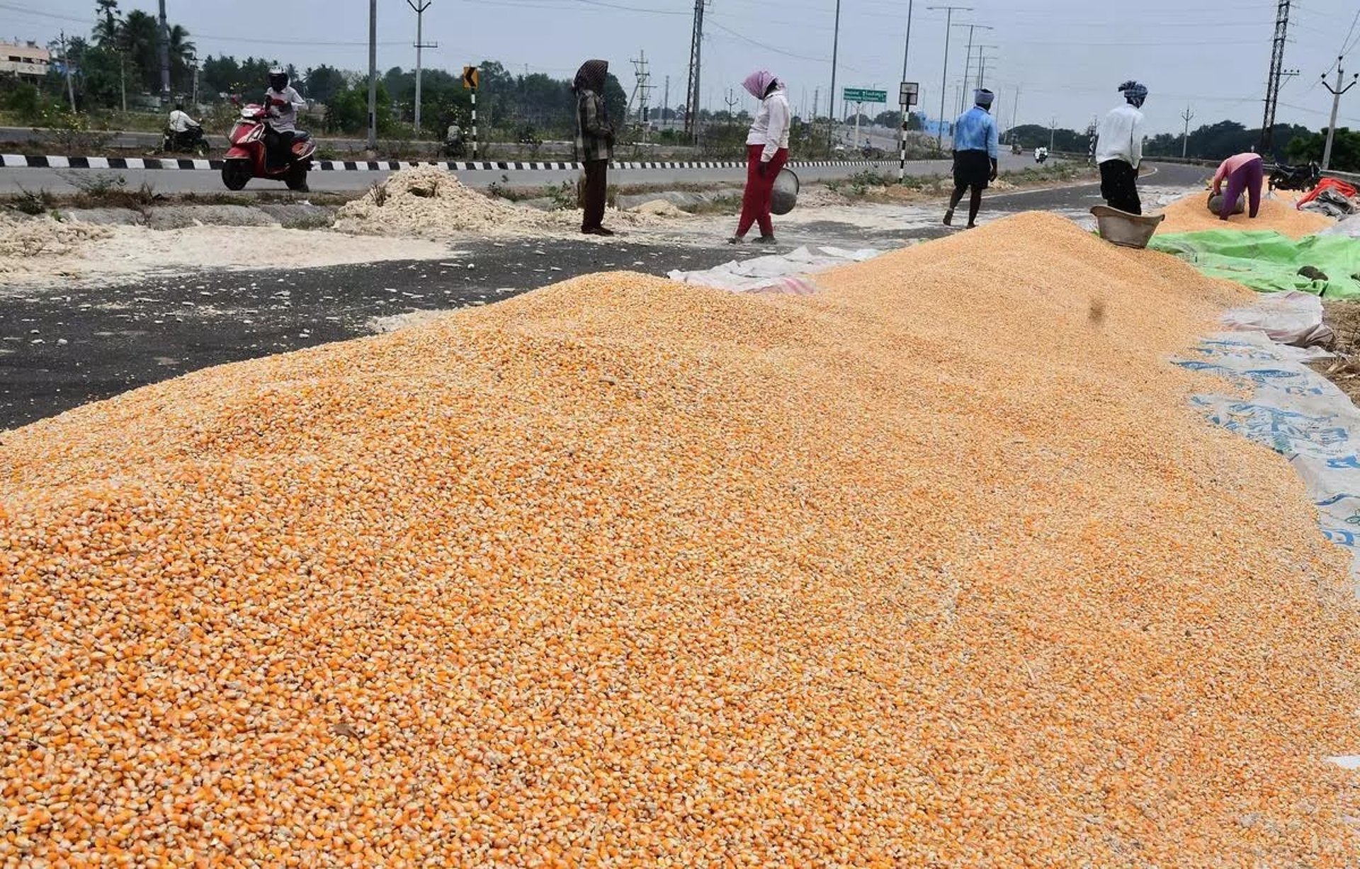 woman wearing yellow long-sleeved dress under white clouds and blue sky during daytime