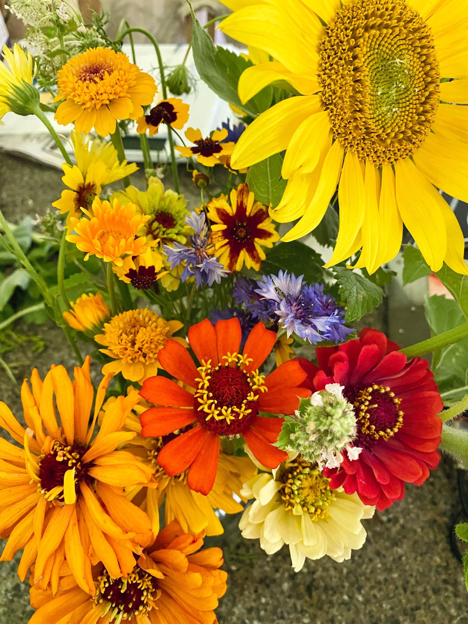 black blue and yellow textile