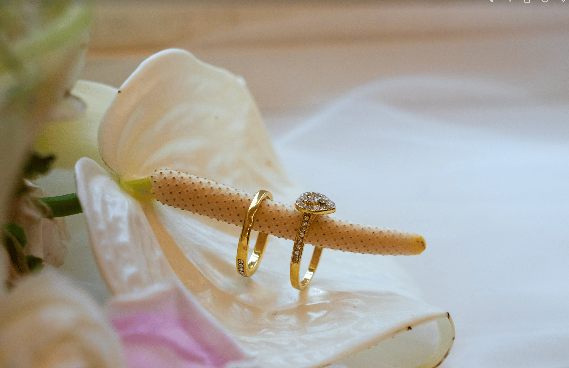 woman in white floral dress holding green plant