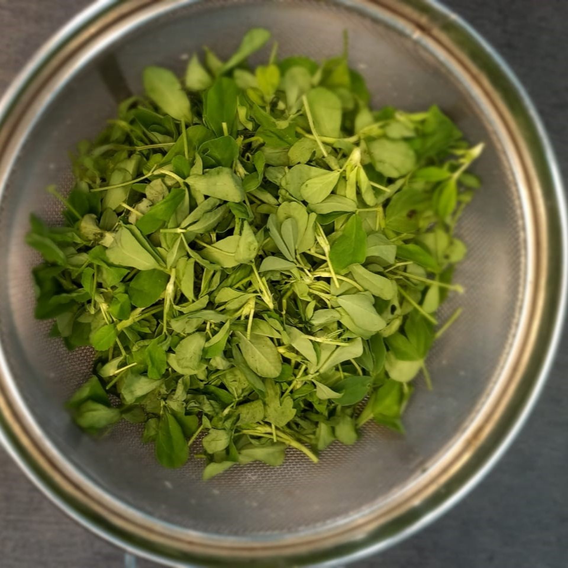 a close up of a bunch of green plants