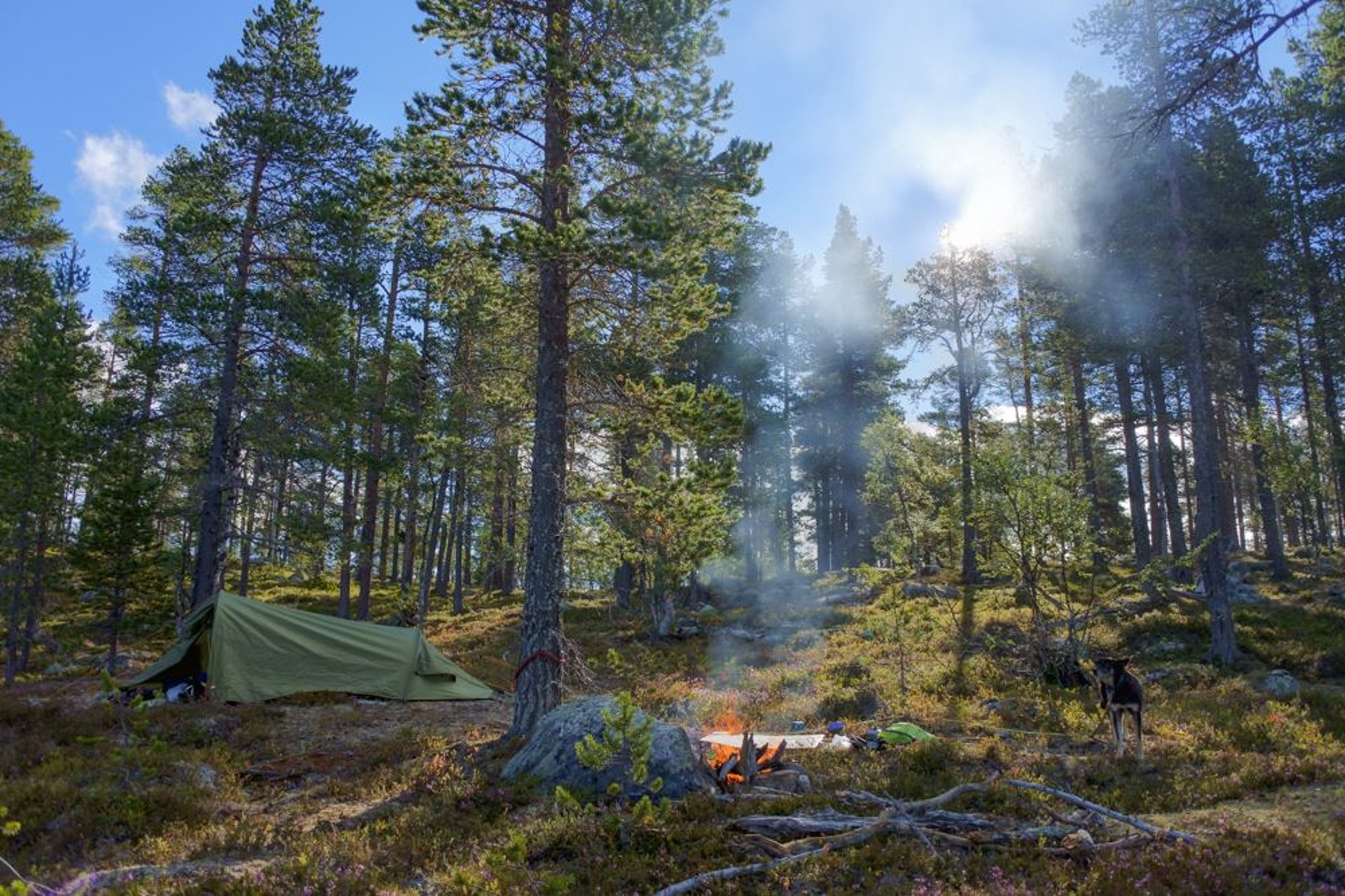 gray computer monitor