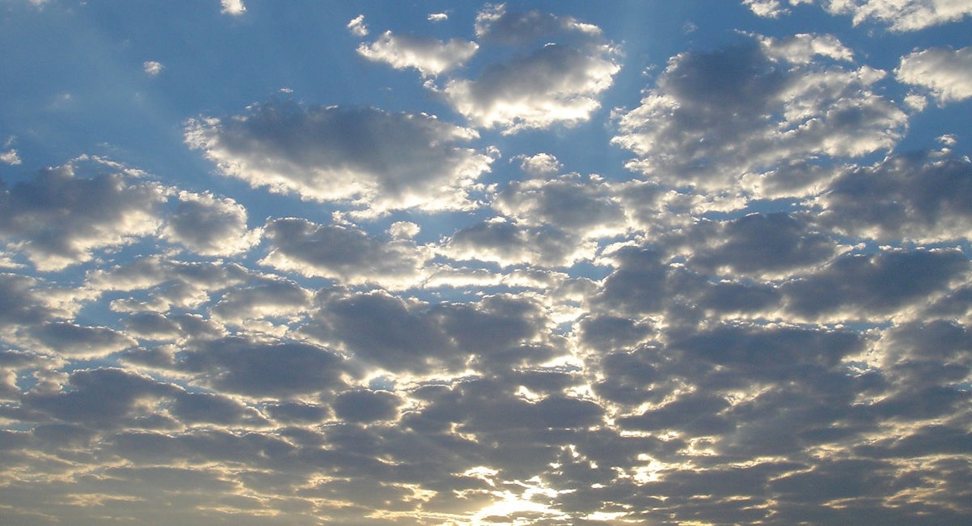 an abstract photo of a curved building with a blue sky in the background