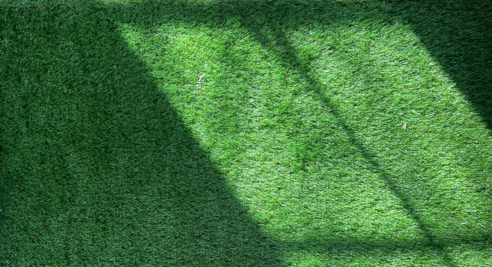 grass texture background