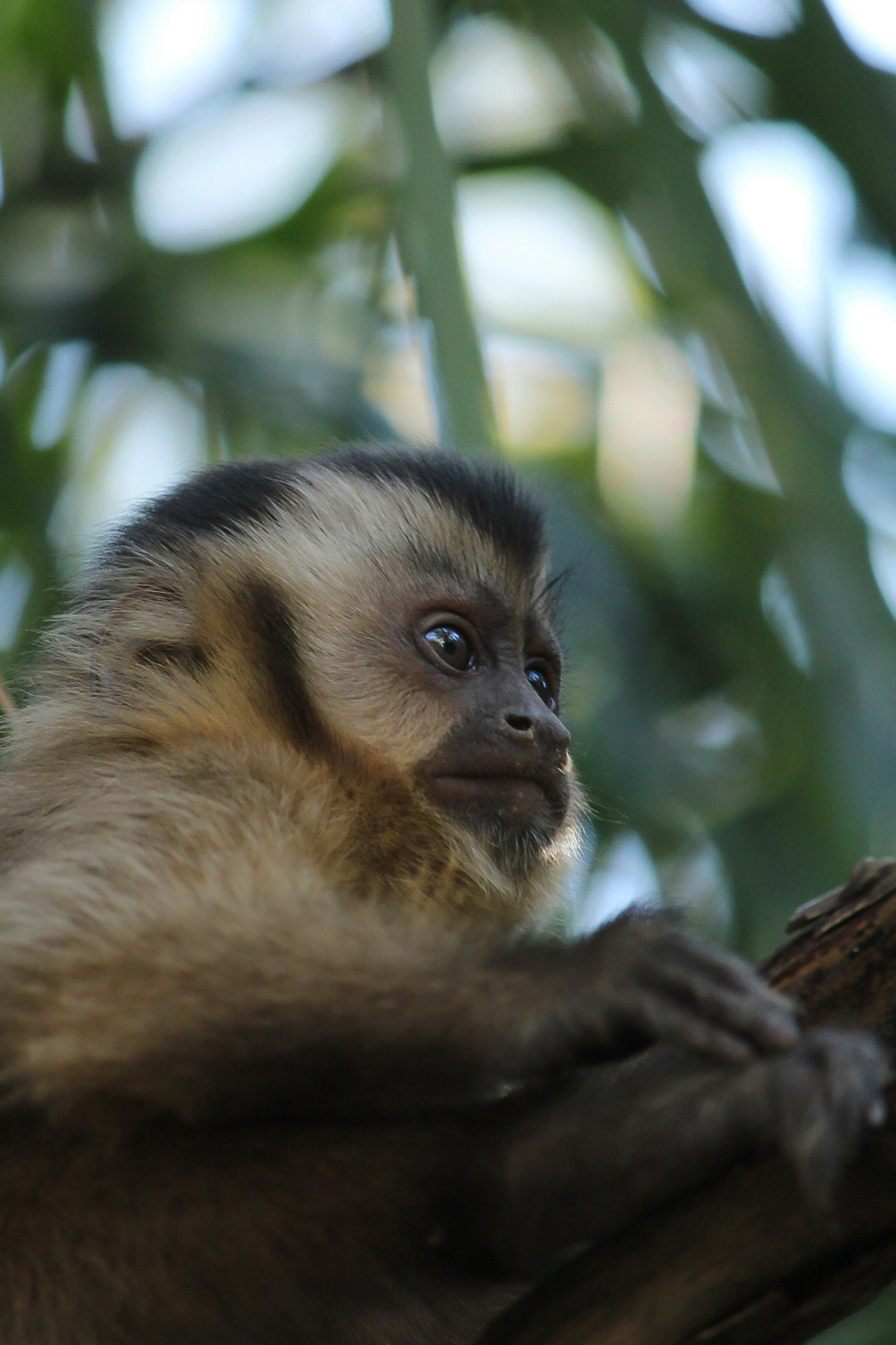 woman wearing yellow long-sleeved dress under white clouds and blue sky during daytime
