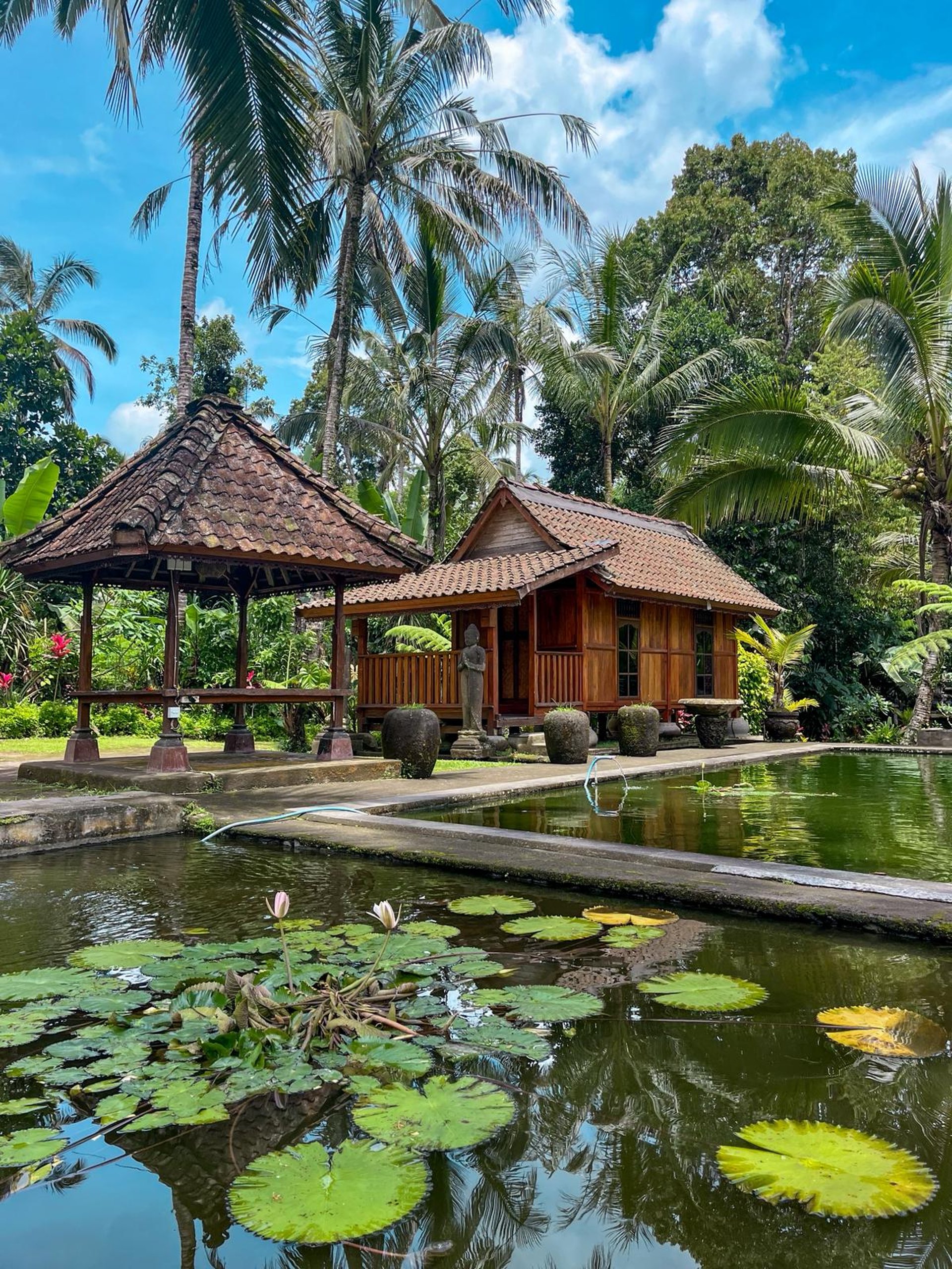 black blue and yellow textile