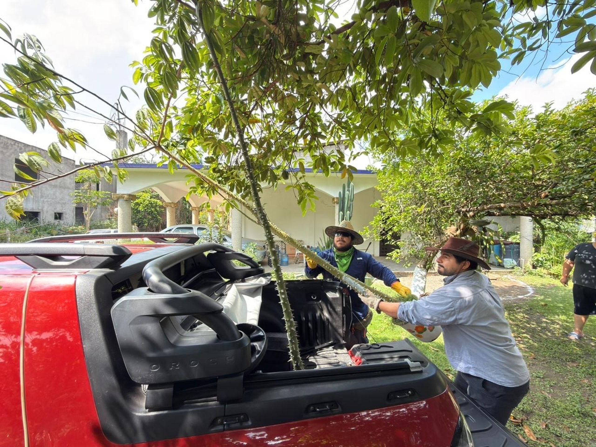 an abstract photo of a curved building with a blue sky in the background