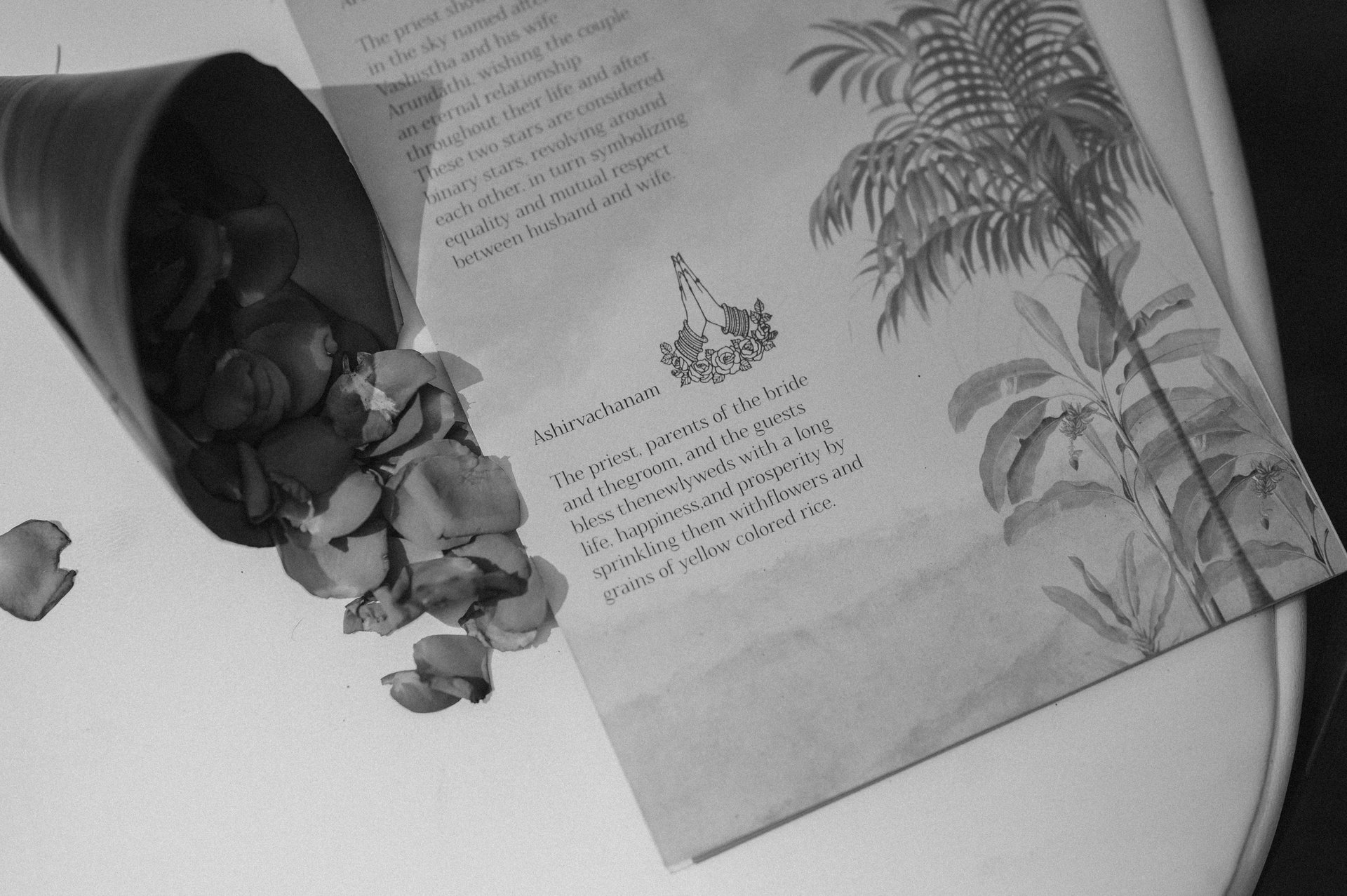 an abstract photo of a curved building with a blue sky in the background