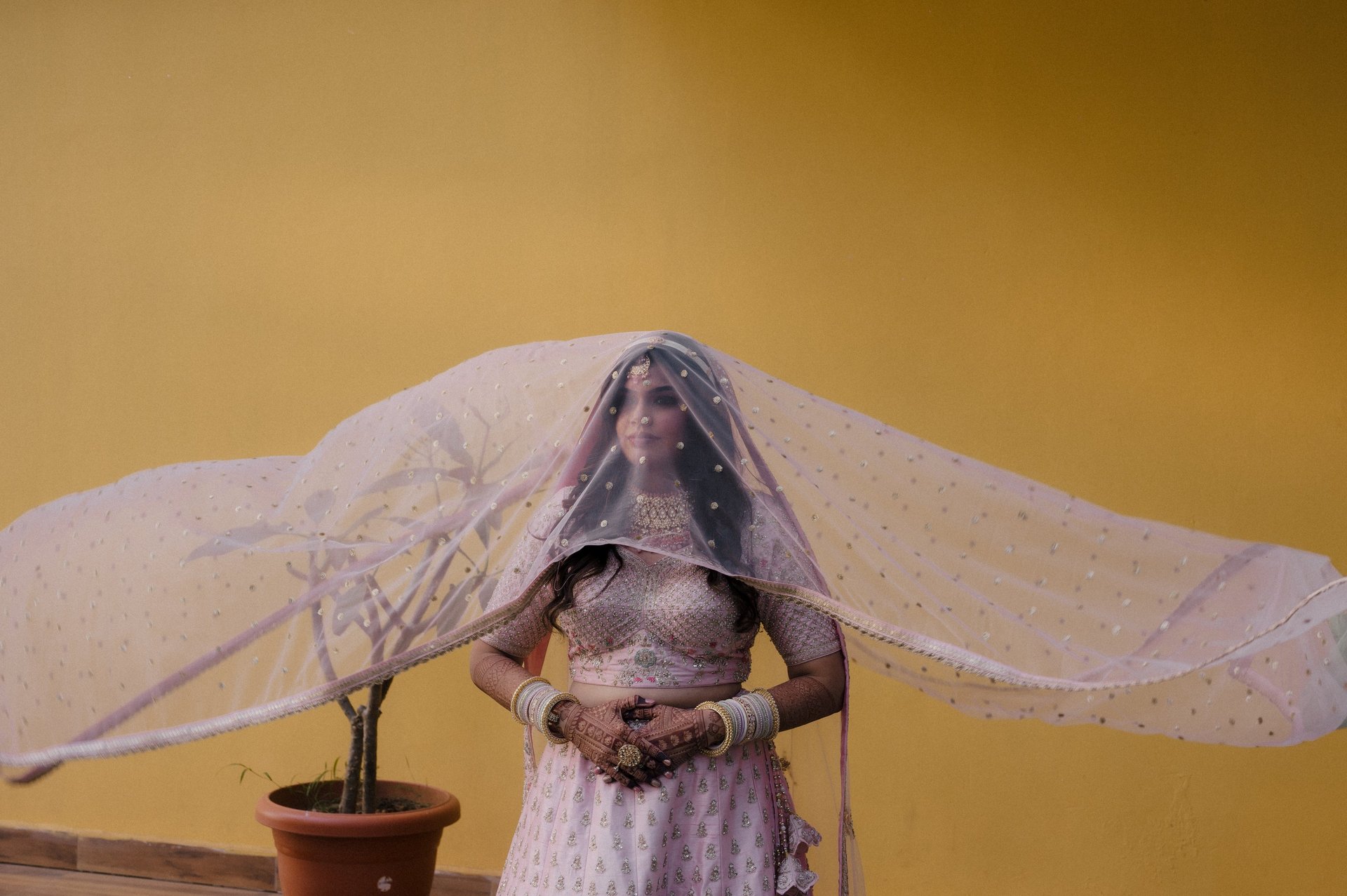 an abstract photo of a curved building with a blue sky in the background