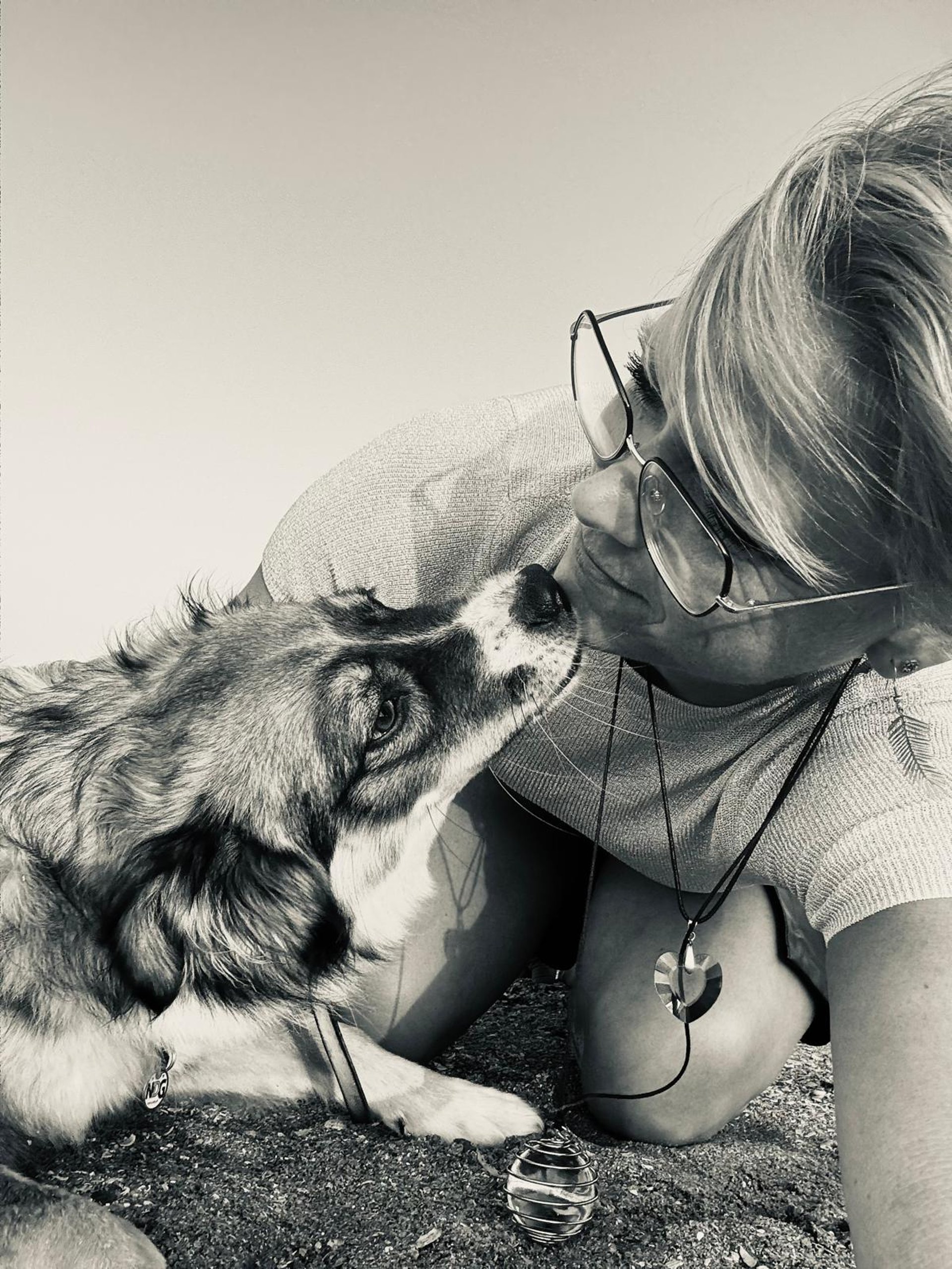 brown wooden house on lake